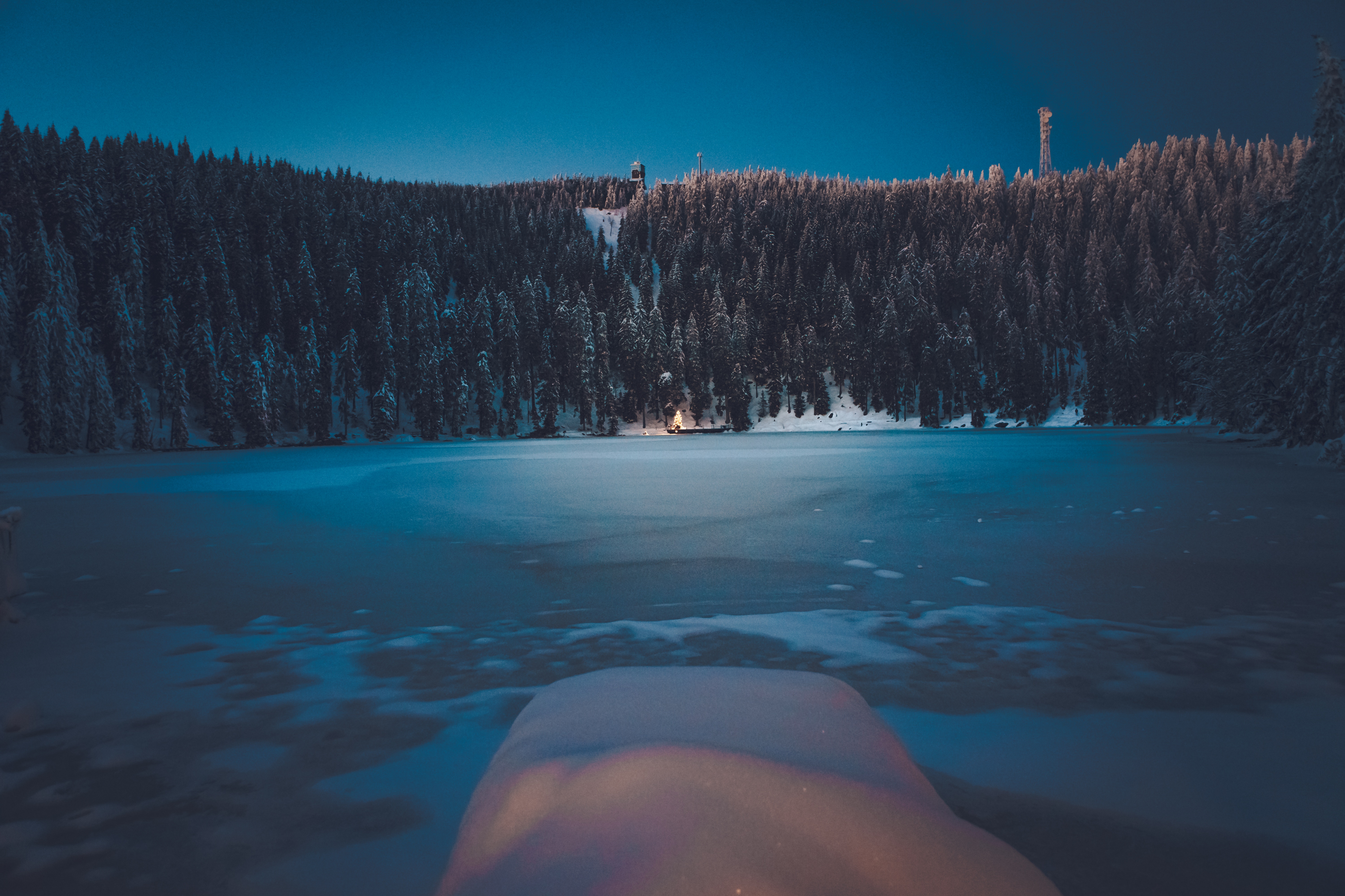 Wallpapers winter forest landscape on the desktop