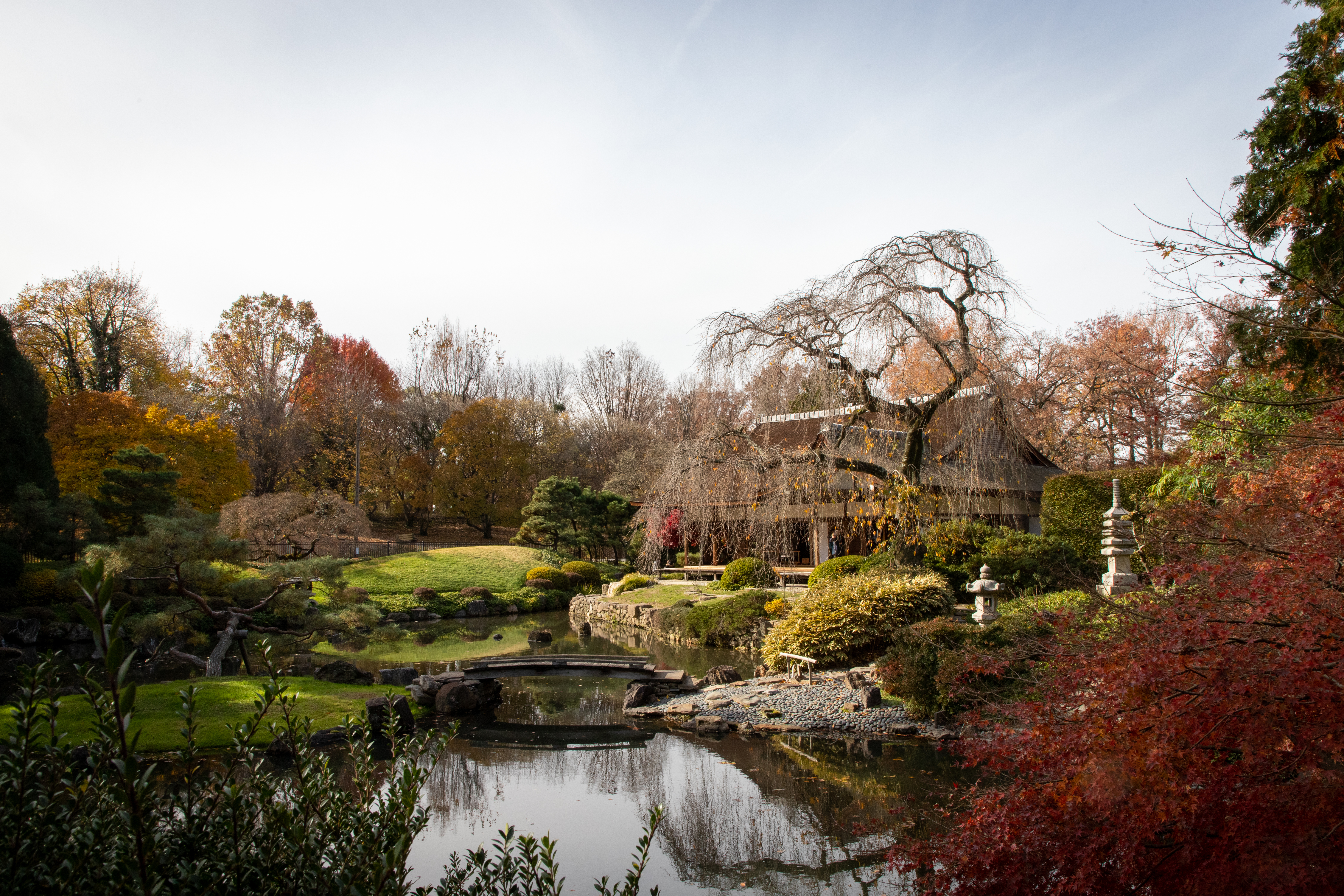 Free photo A beautiful fall Japanese park