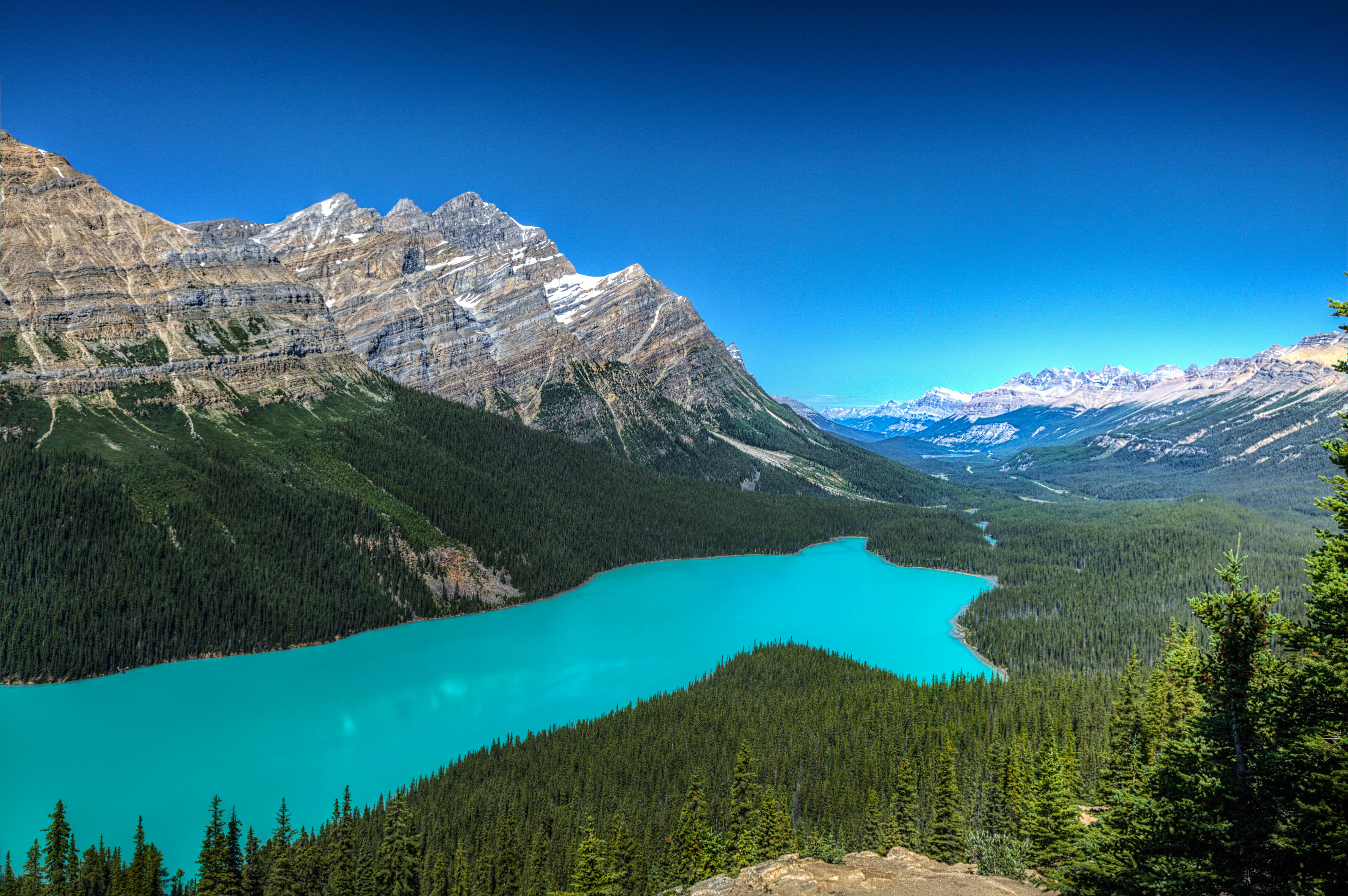 Wallpapers trees Alberta a beautiful lake on the desktop