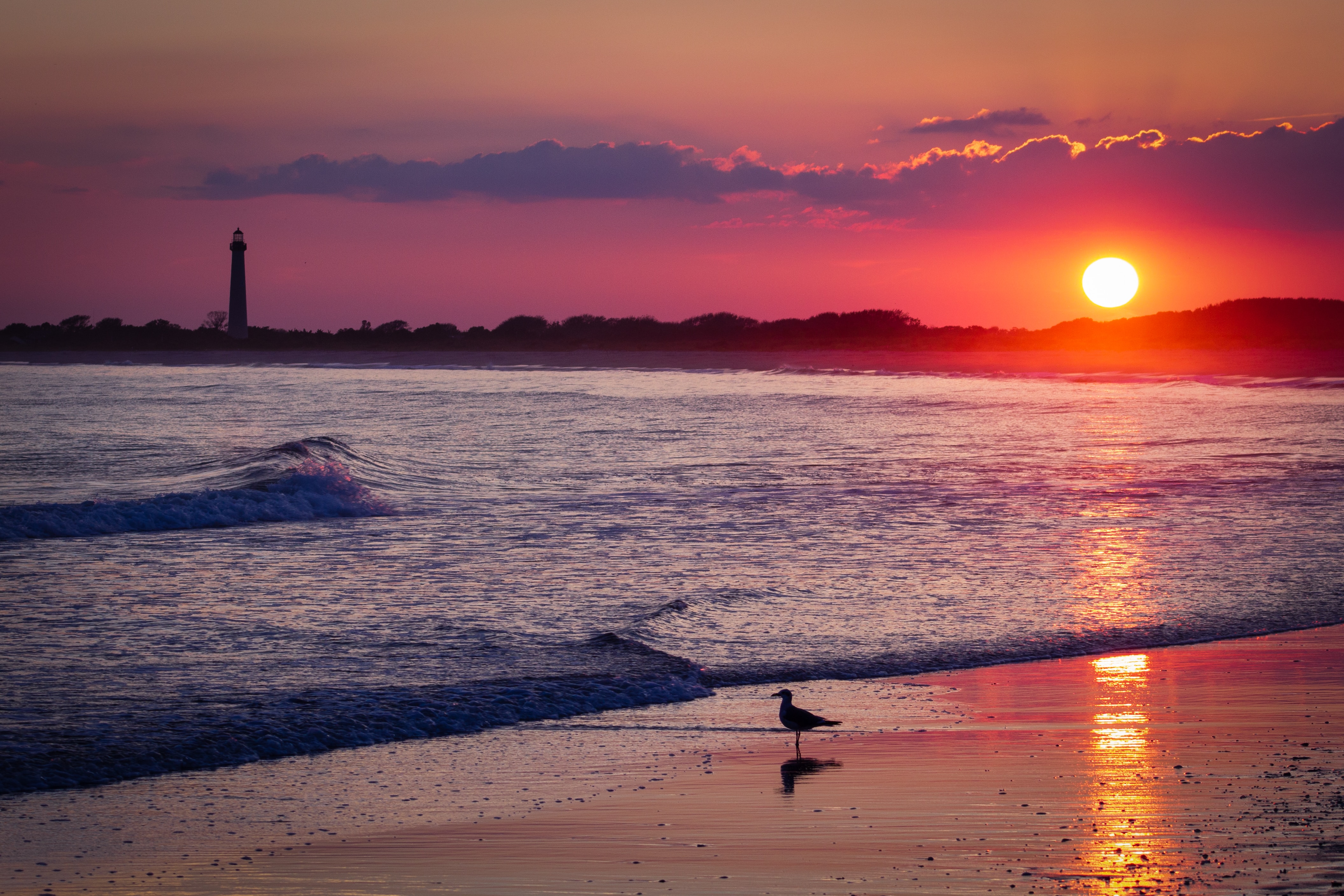 Free photo Red sun at sunset by the seashore