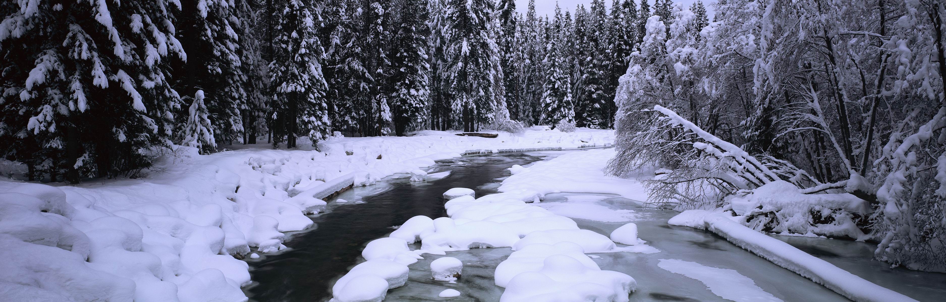 Free photo Winter forest with a river covered in ice and snow.