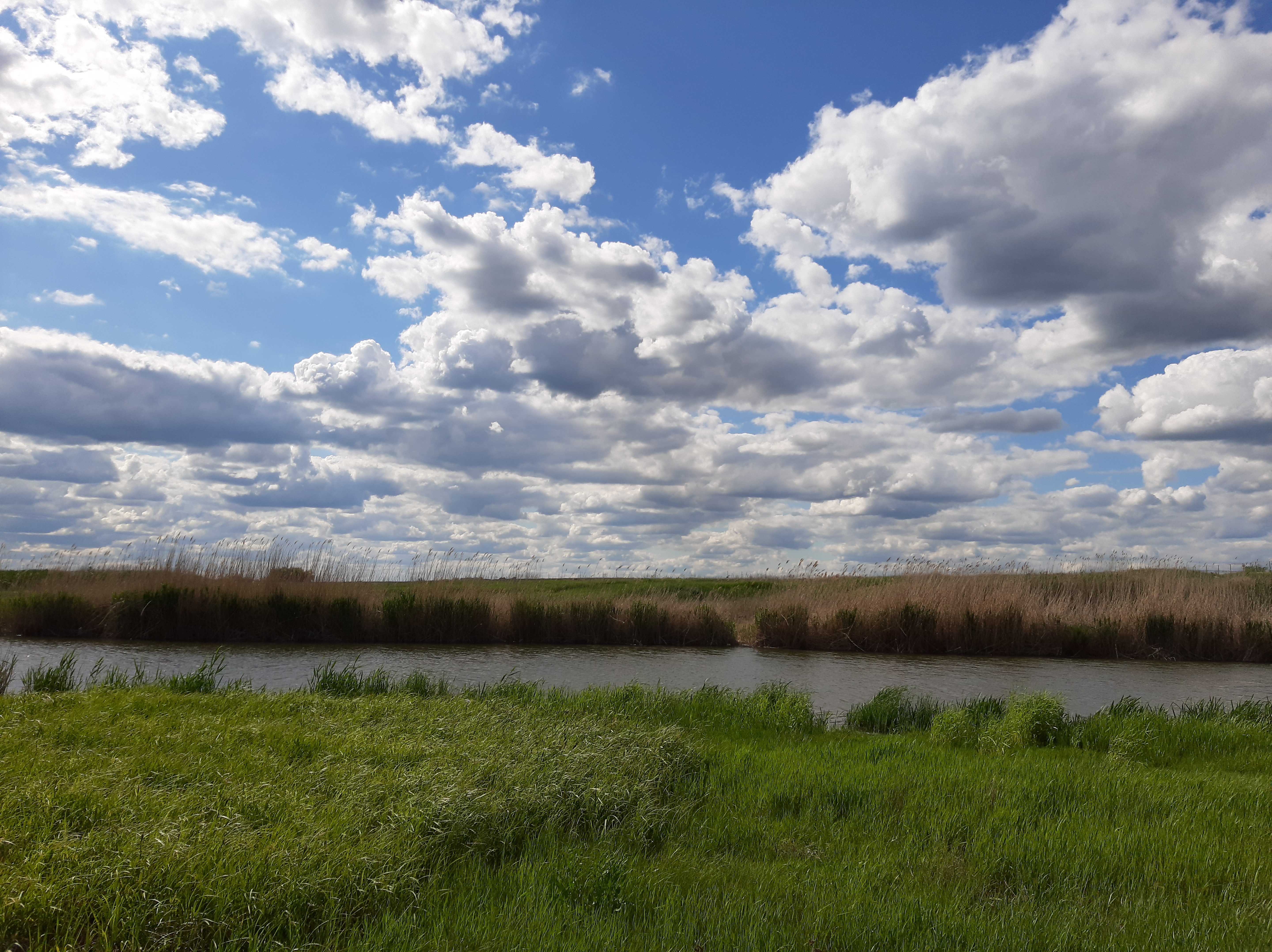 White clouds against a blue sky