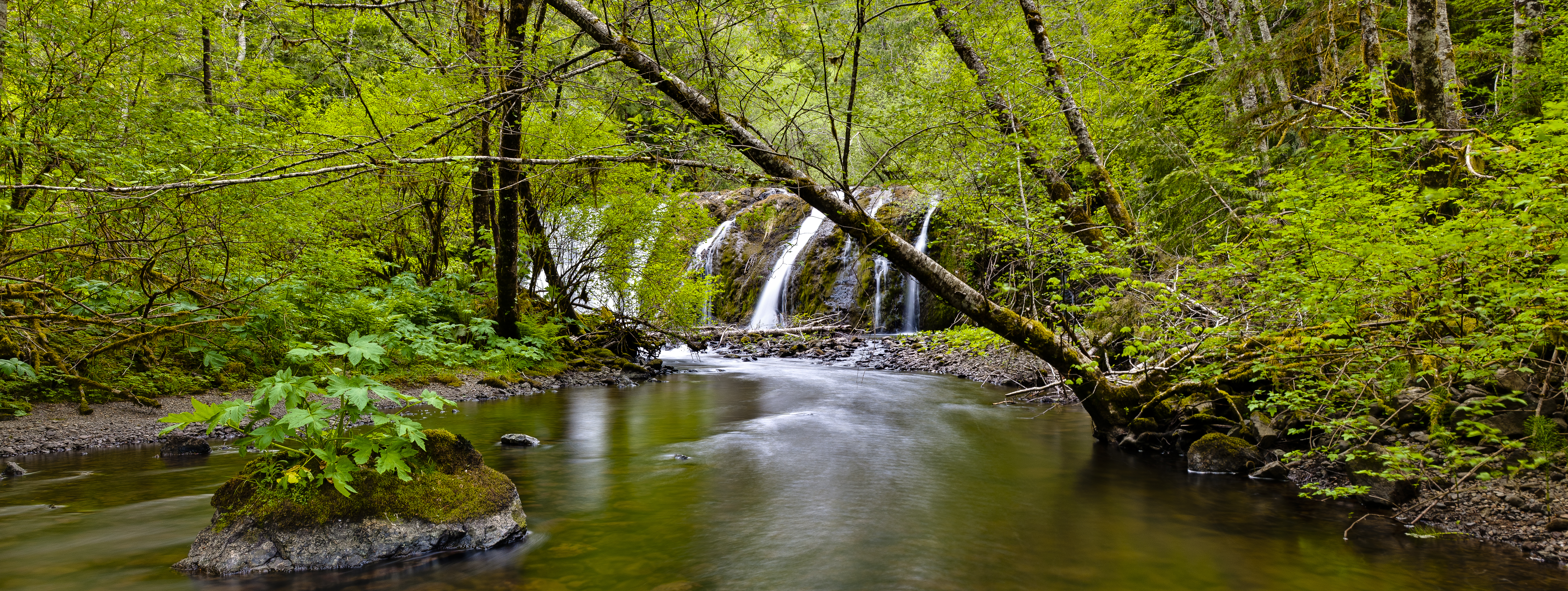 Обои Beaver Falls Olympic Peninsula на рабочий стол