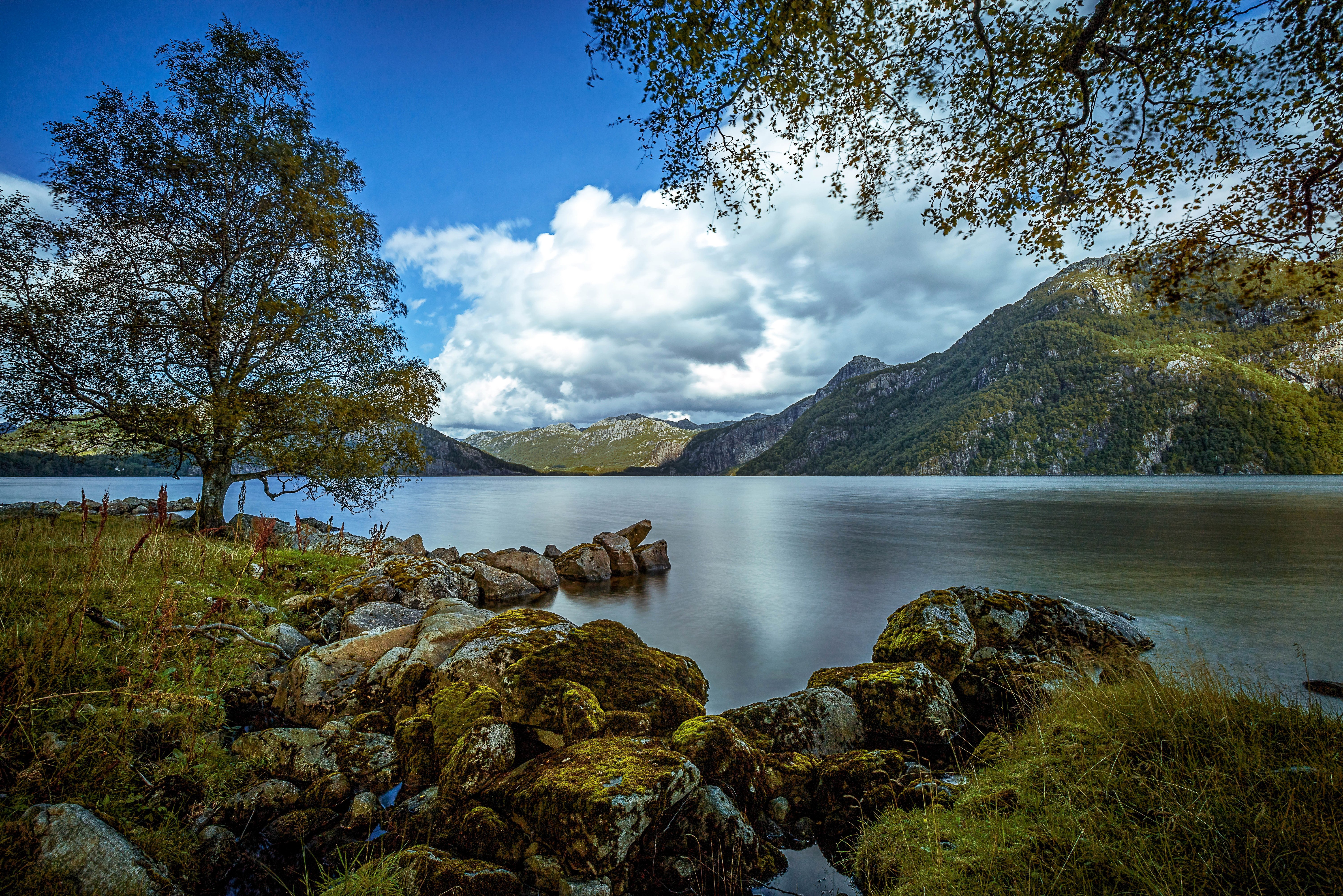 Wallpapers mountain lake and trees late summer landscape on the desktop