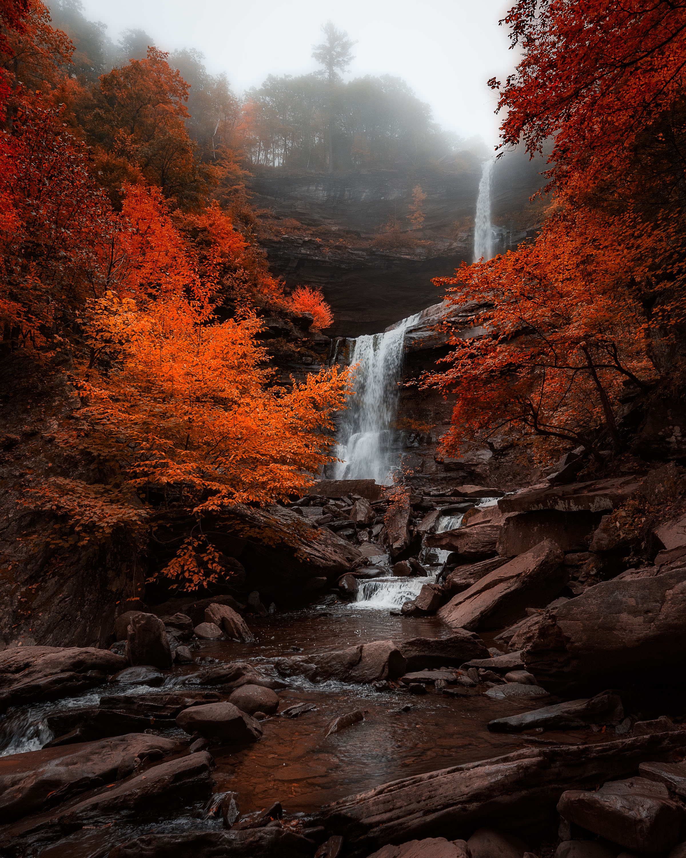 Обои Kaaterskill водопад деревья пейзаж на рабочий стол