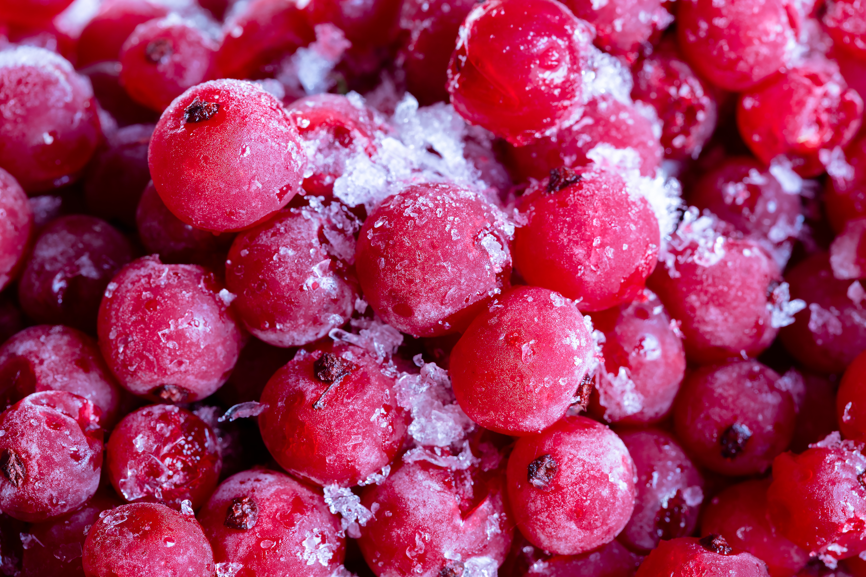 Бесплатное фото Свежезамороженная красная смородина