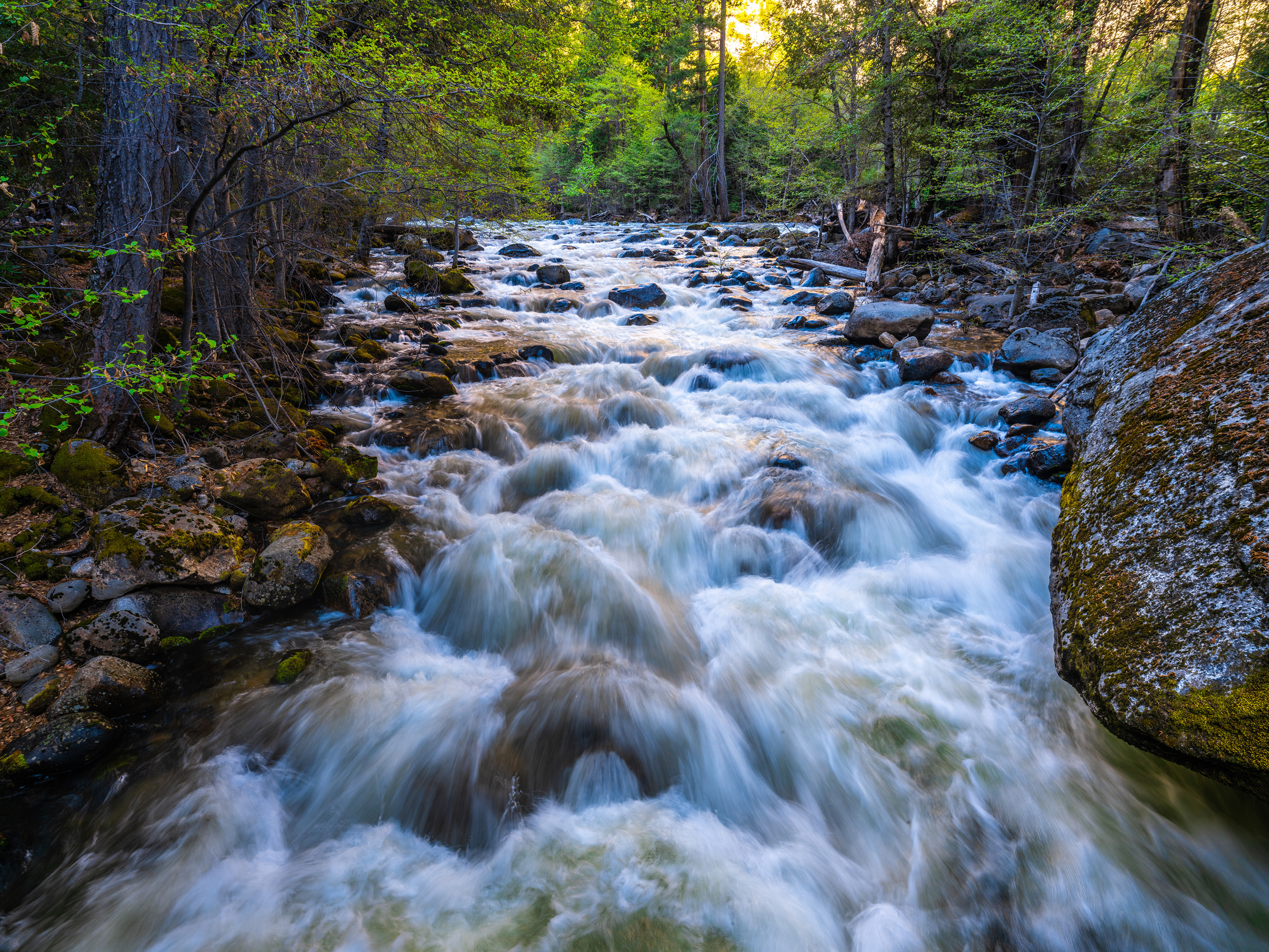 Wallpapers trees rivers usa stone on the desktop