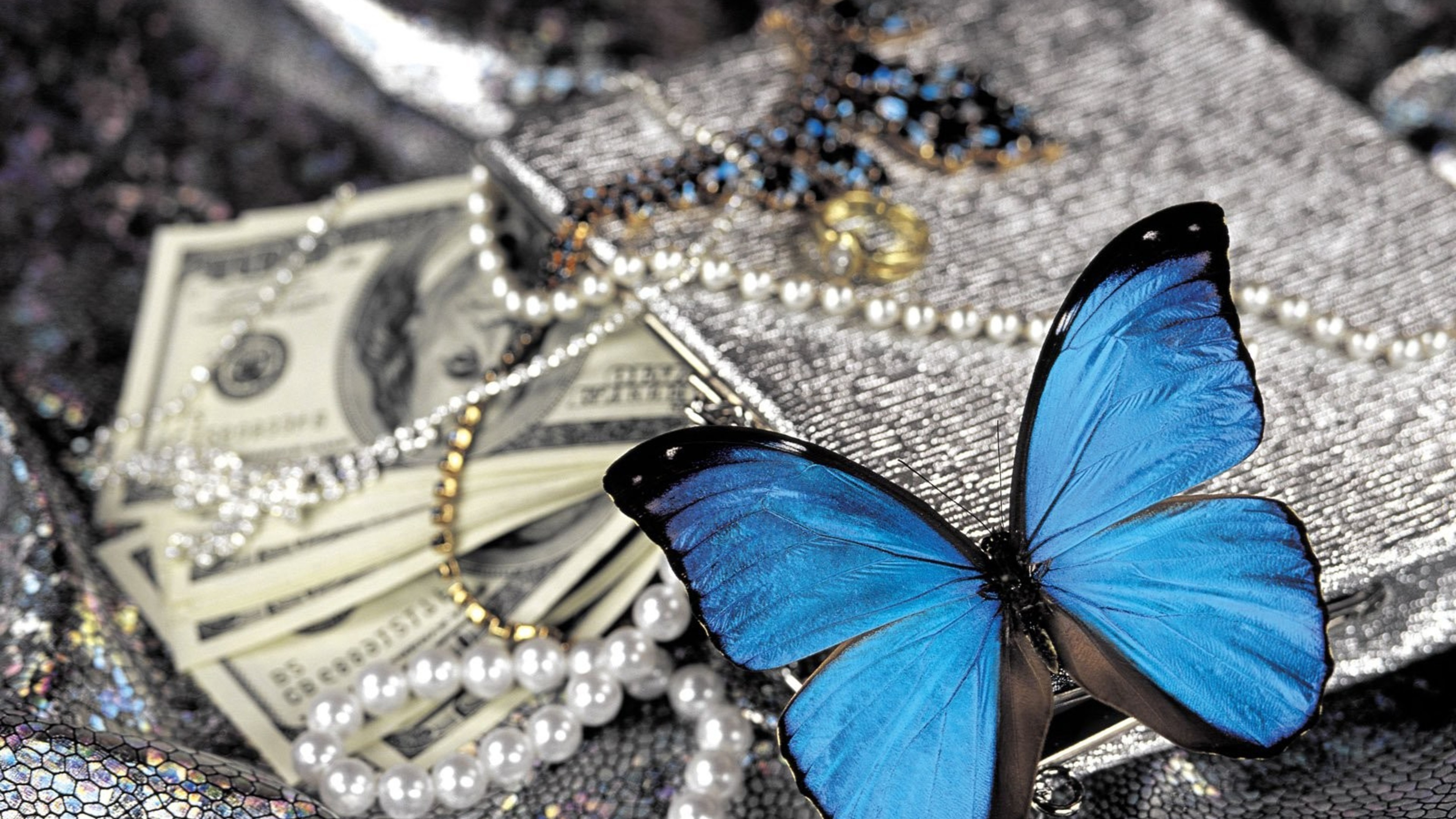 一只蓝色蝴蝶坐在珠宝上