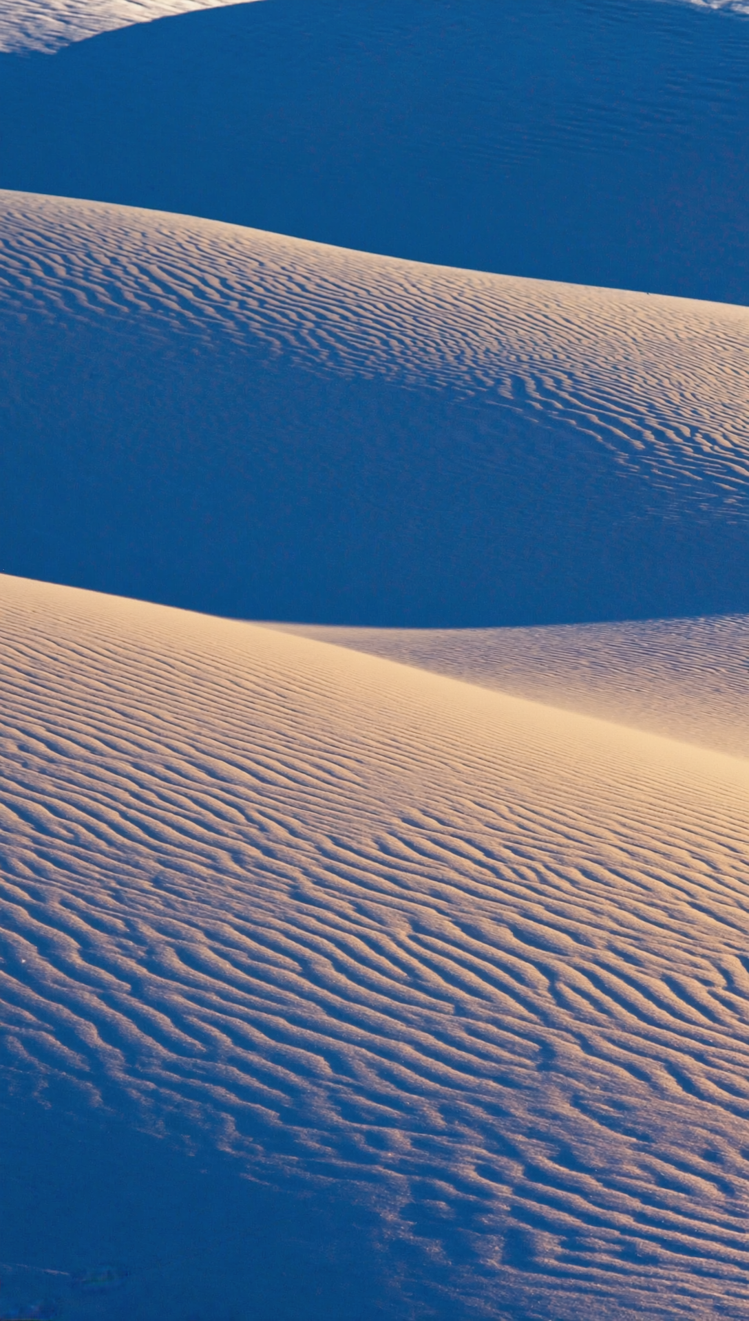 Бесплатное фото Пейзаж зимой дюны из снега