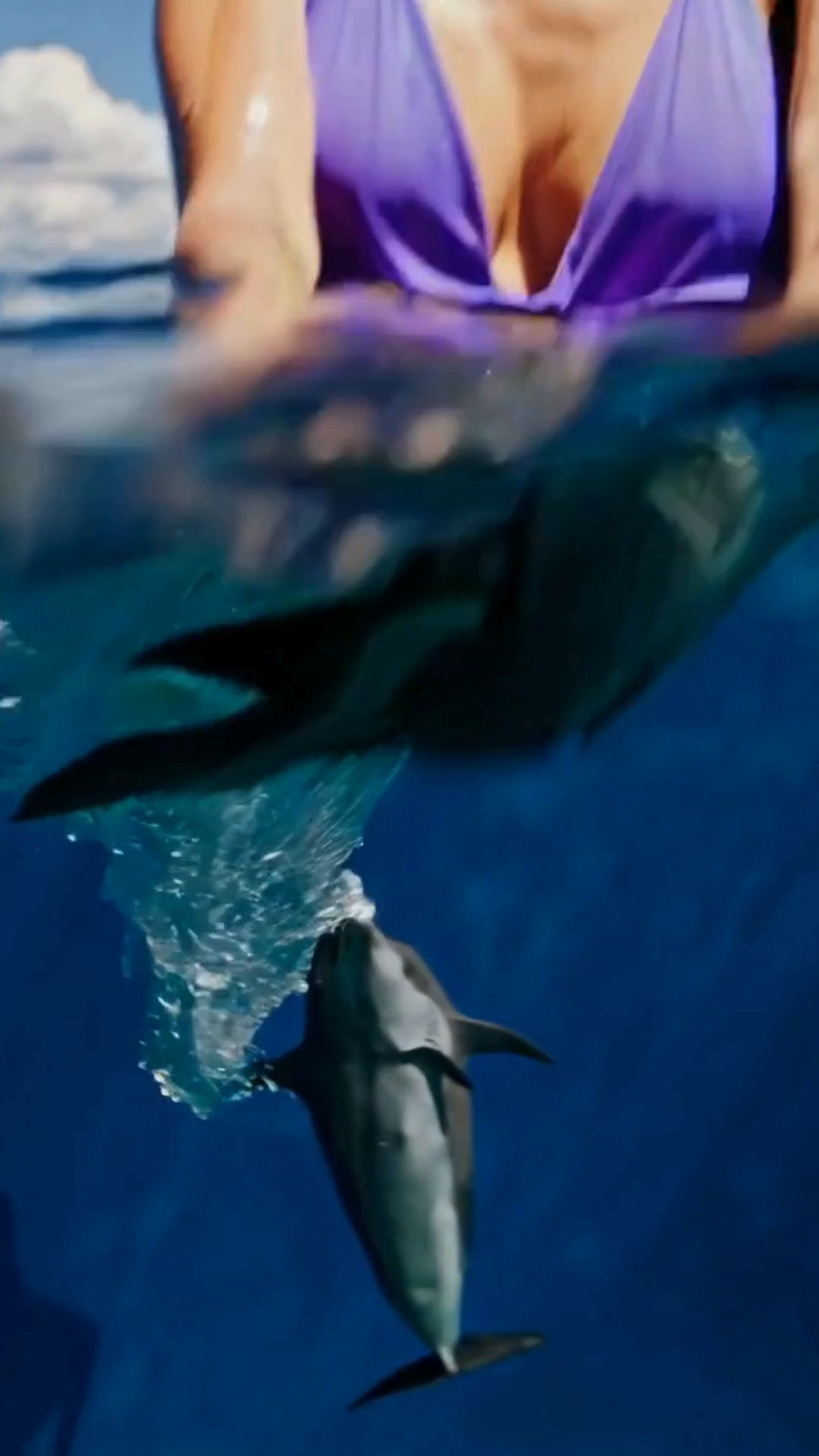 Free video Young blue-eyed blonde woman bathing a dolphin.
