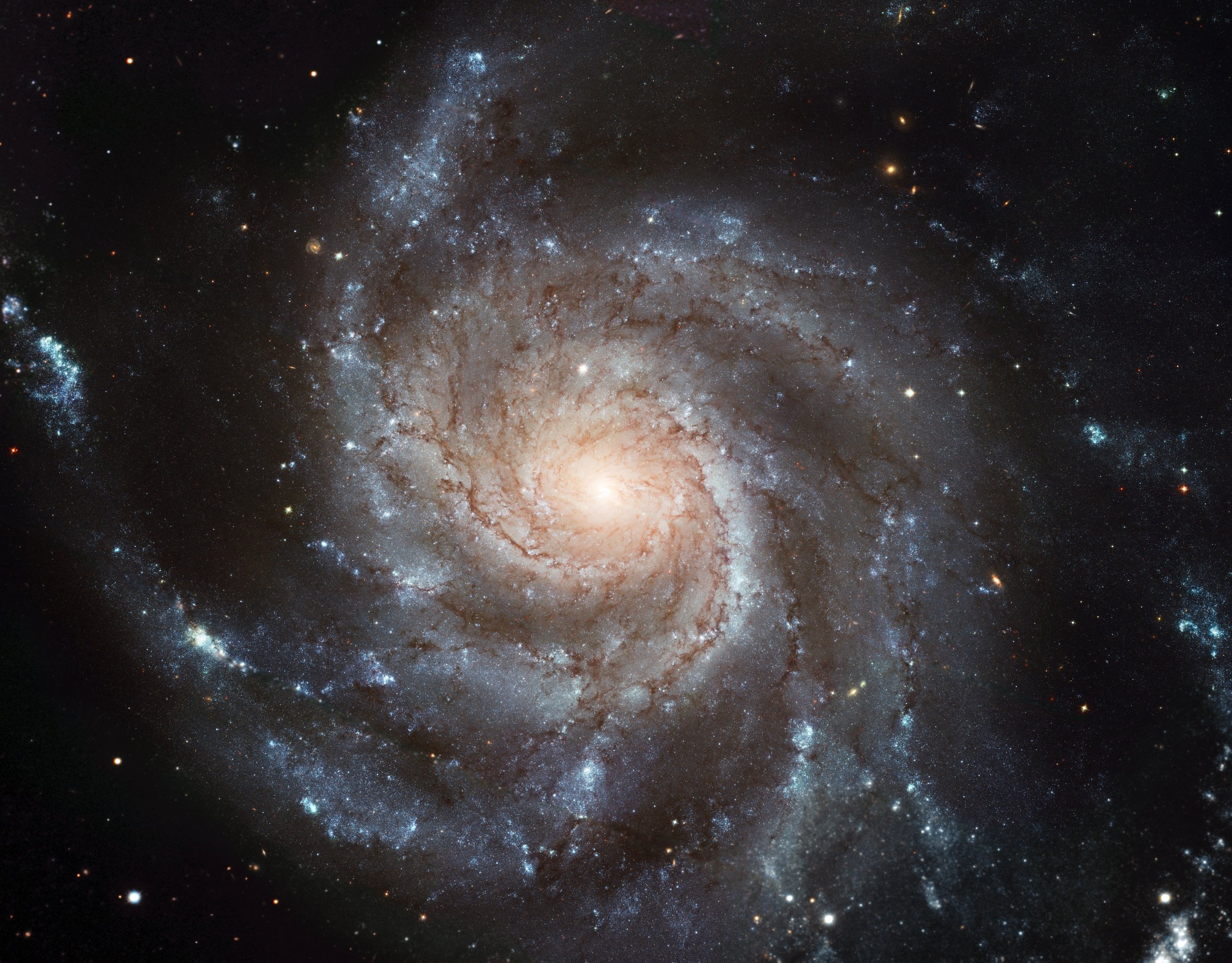 桌面上的壁纸星系 车轮星系 北极熊星座