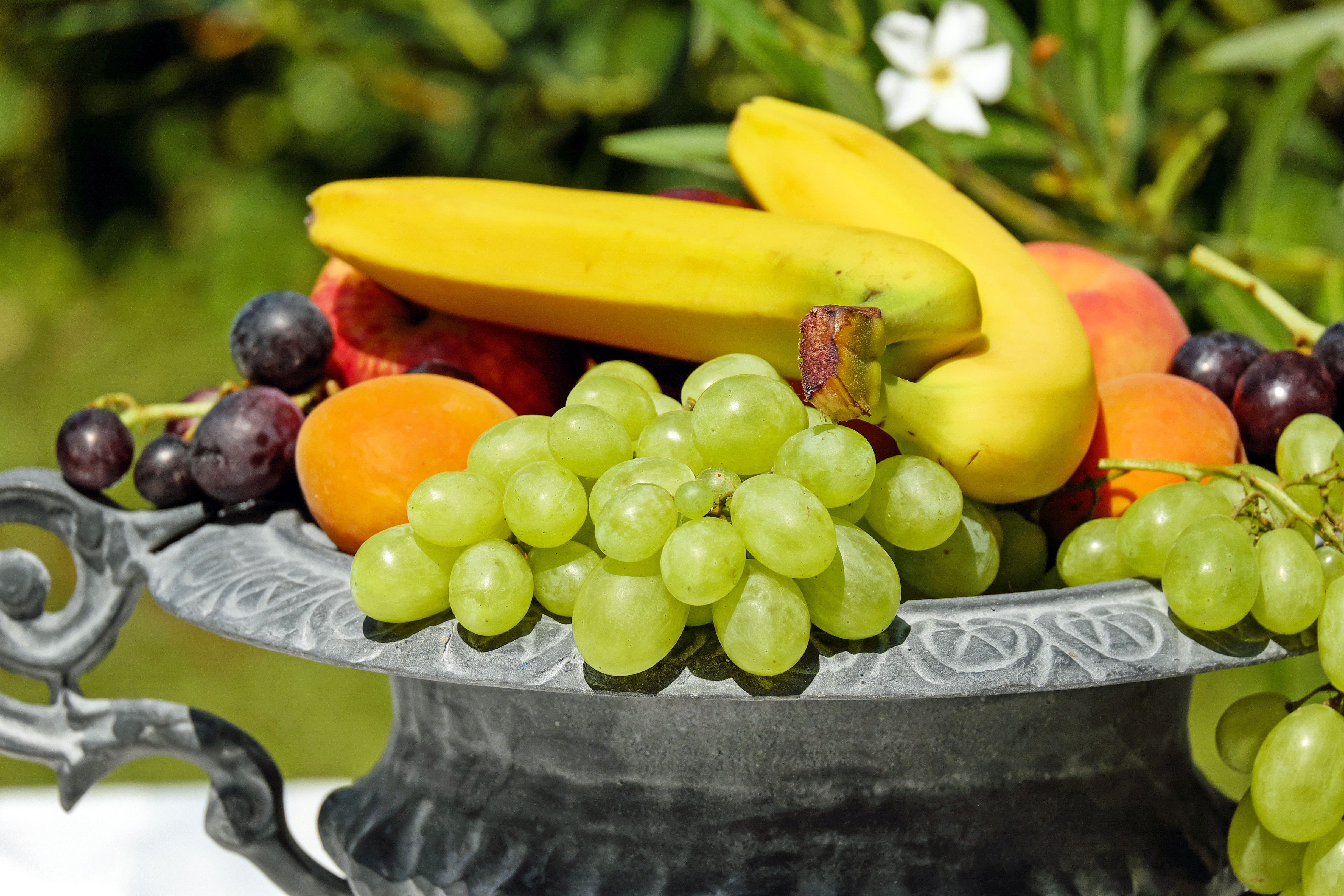 Free photo Delicious plate with berries and fruit