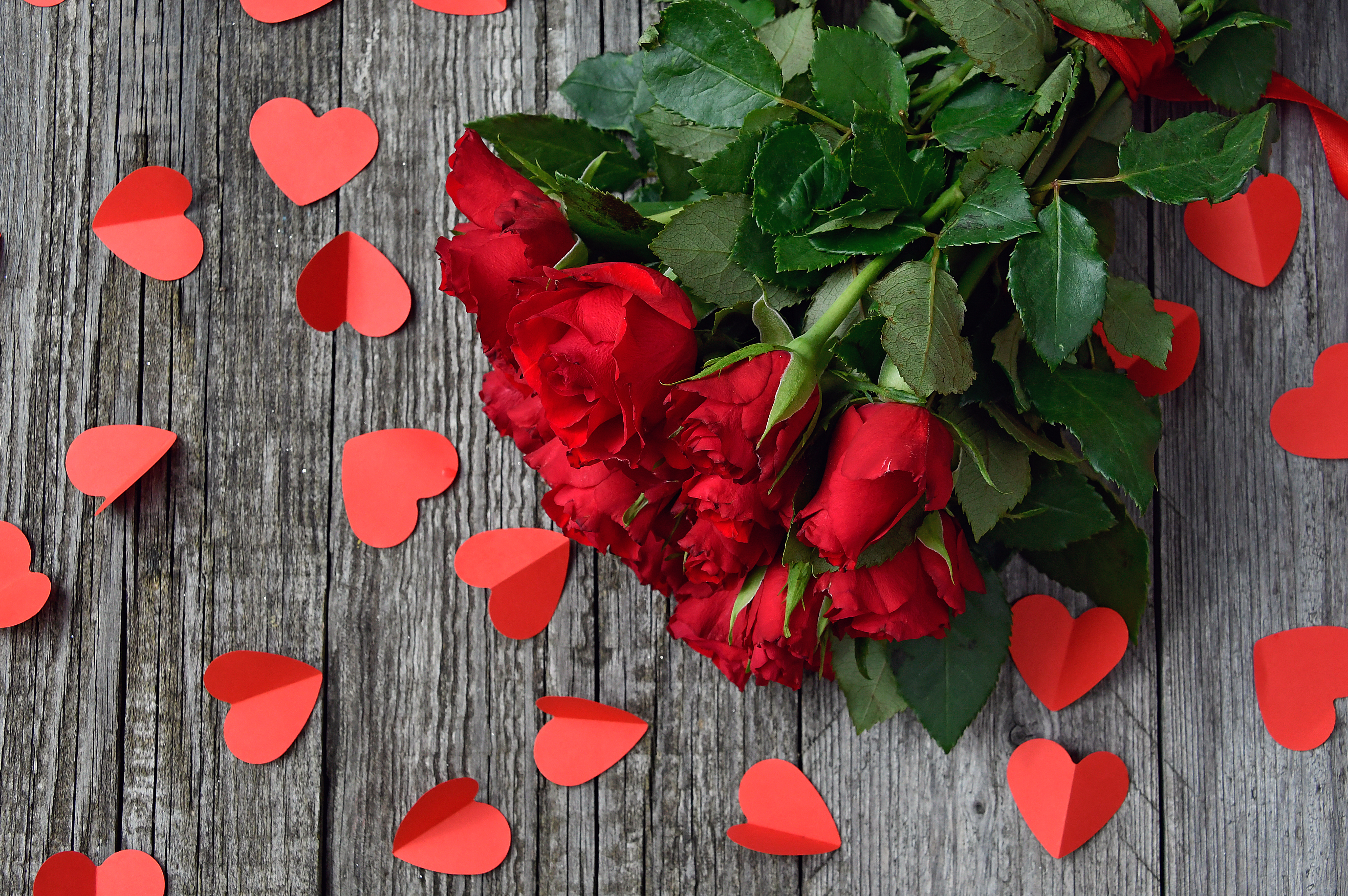 红玫瑰花束和情人节礼物