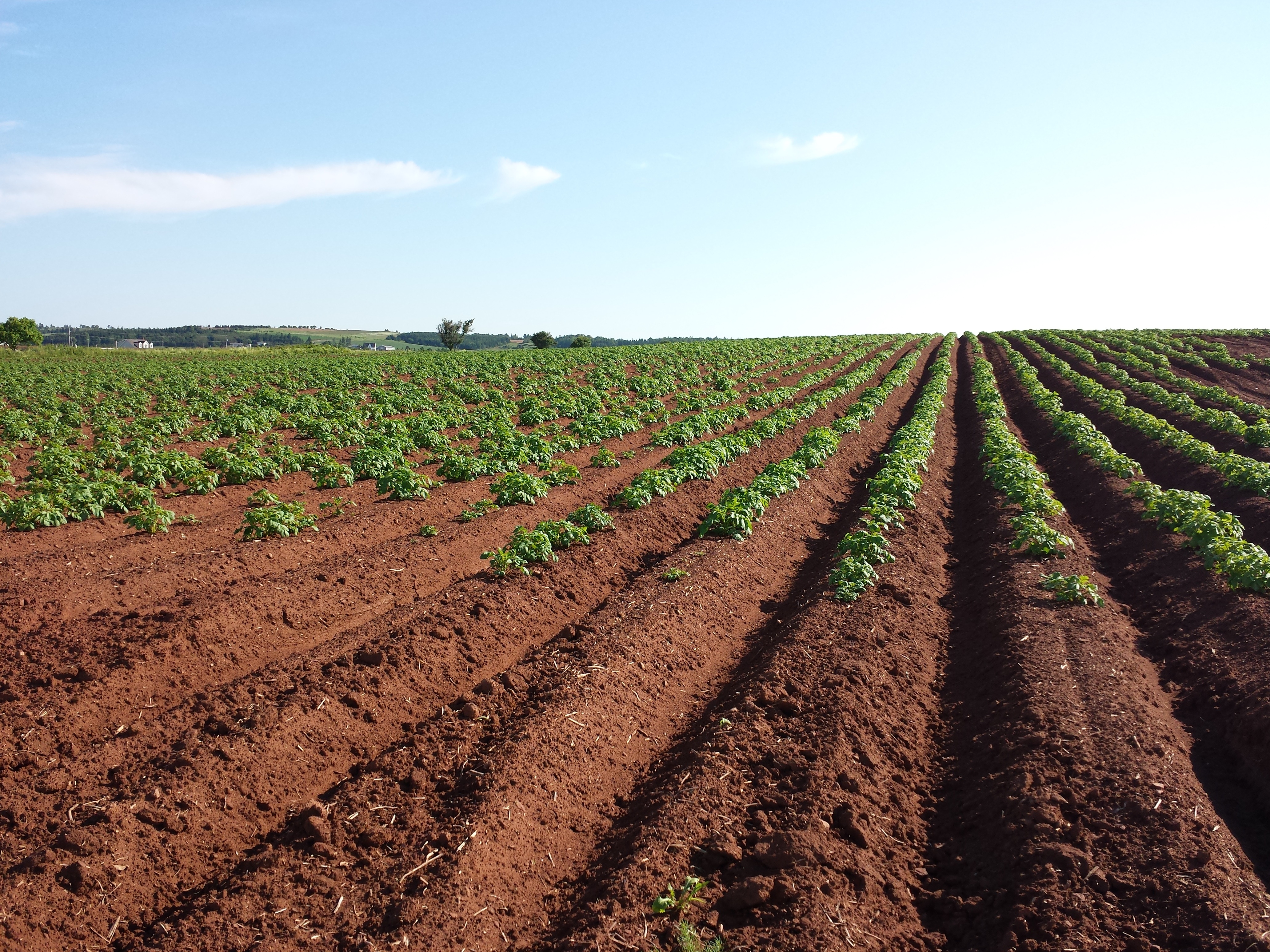 Free photo Tillage on Prince Edward Island