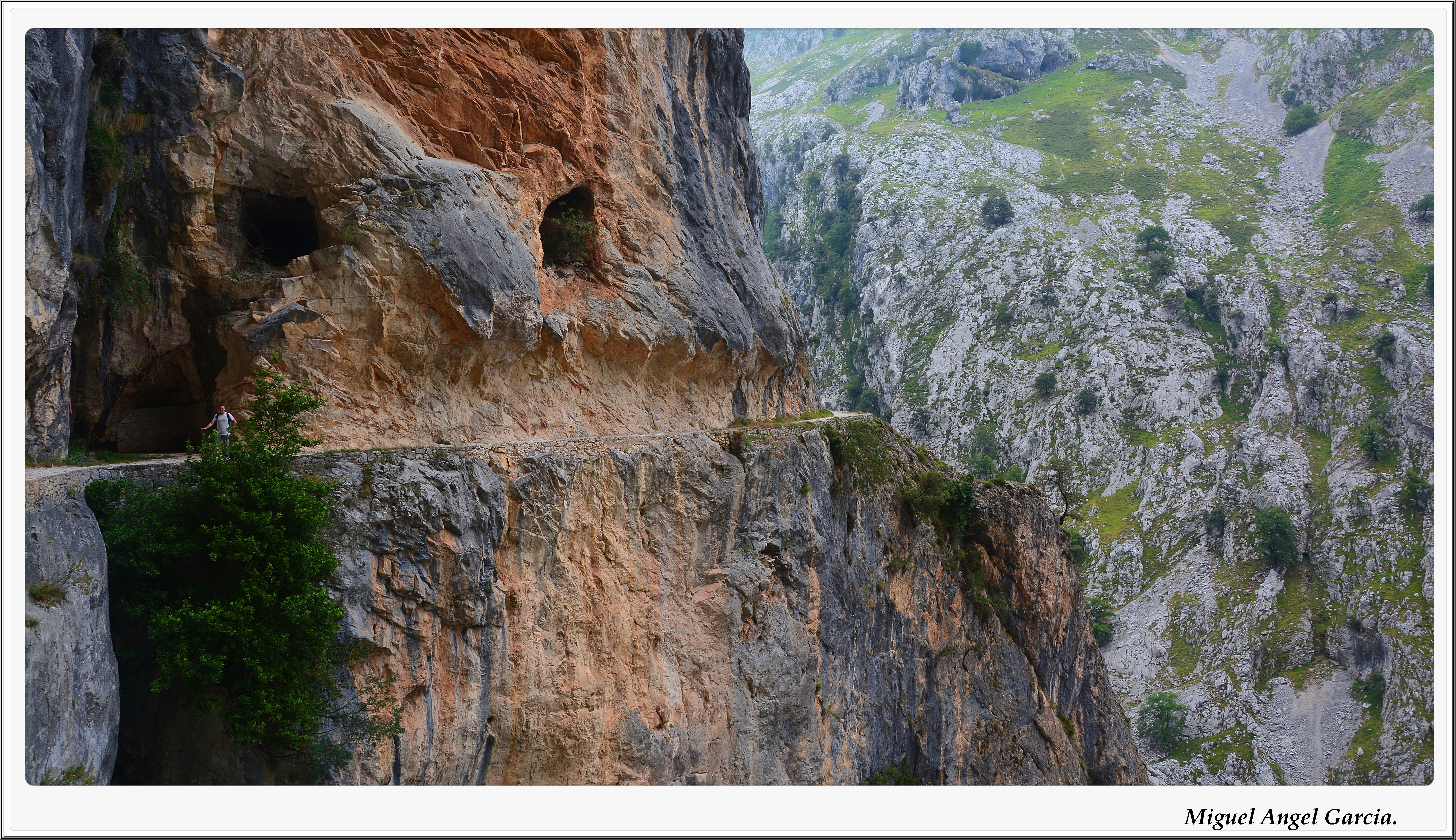 桌面上的壁纸木材 岩石 原野
