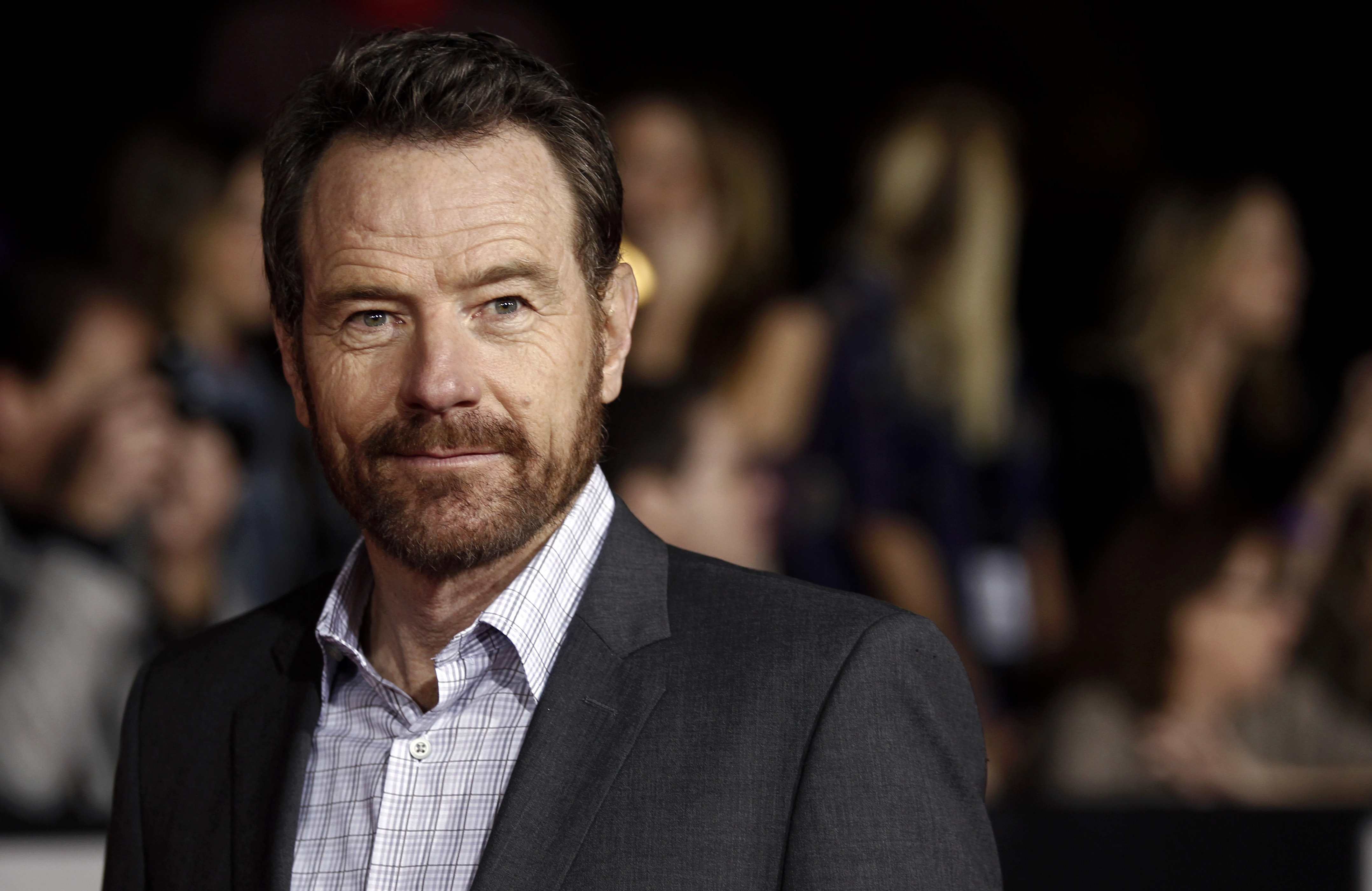 Wallpapers Bryan Cranston beard actor on the desktop