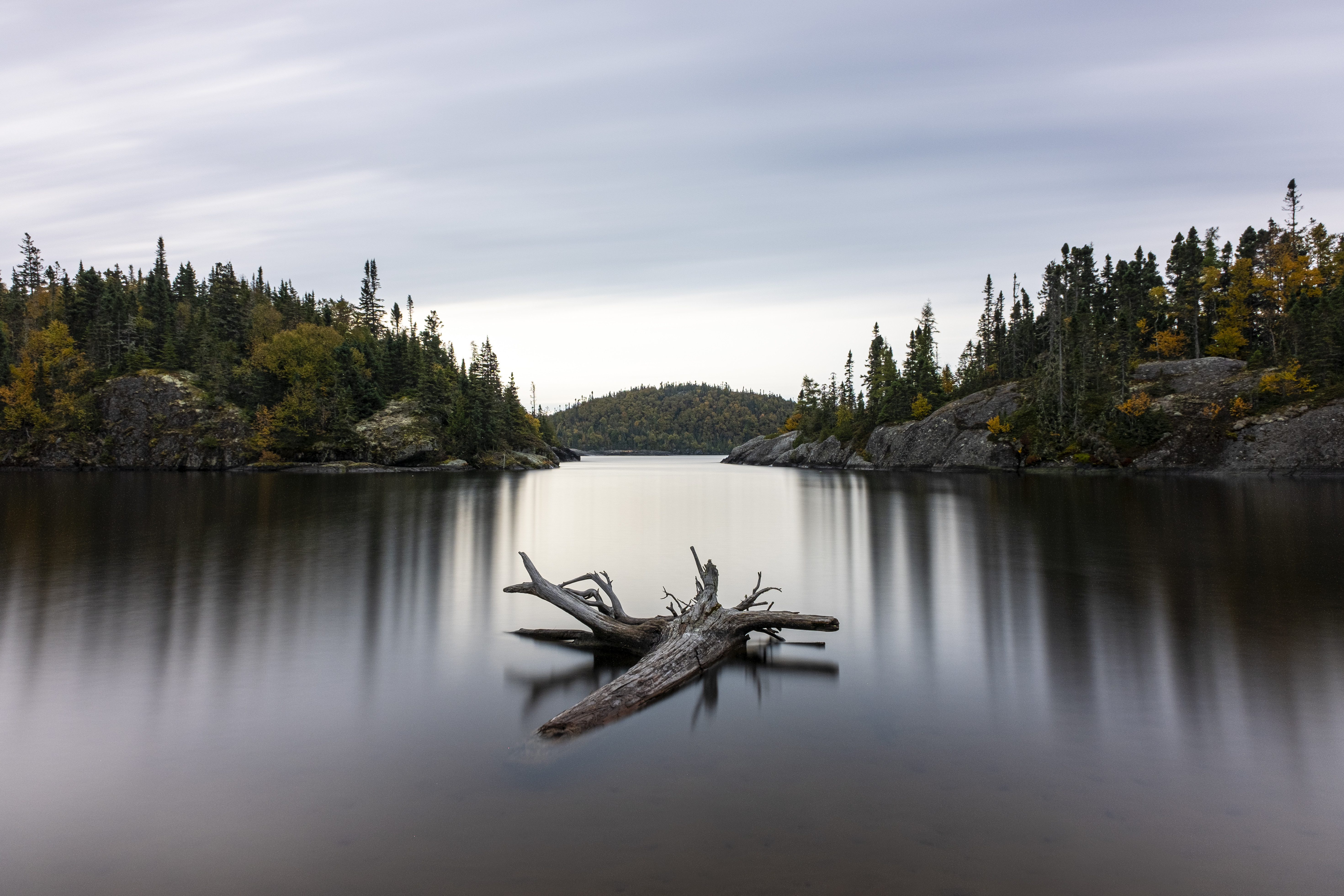 Free photo The remains of a fallen tree are visible from the water