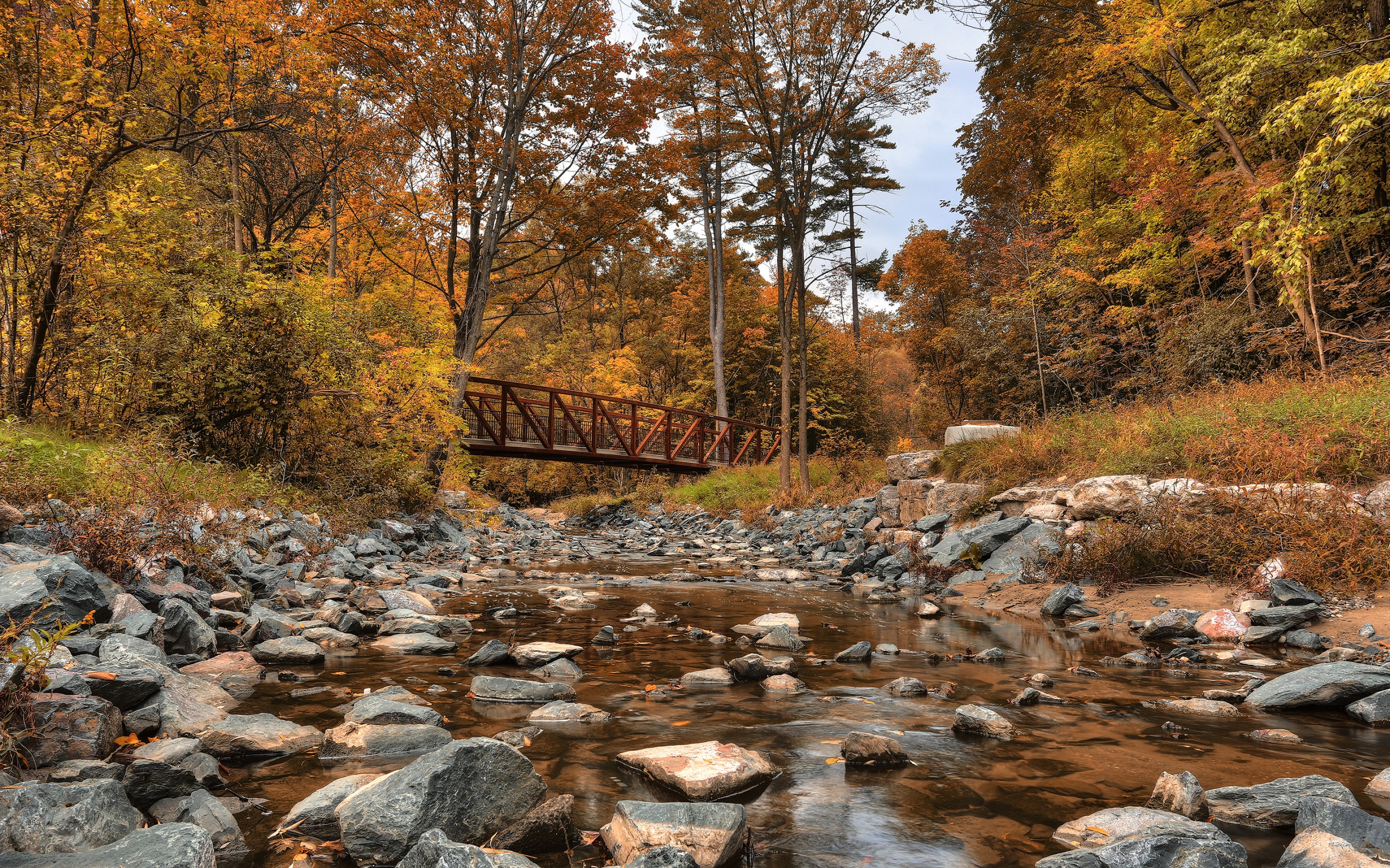 Wallpapers bridge stones autumn forest on the desktop