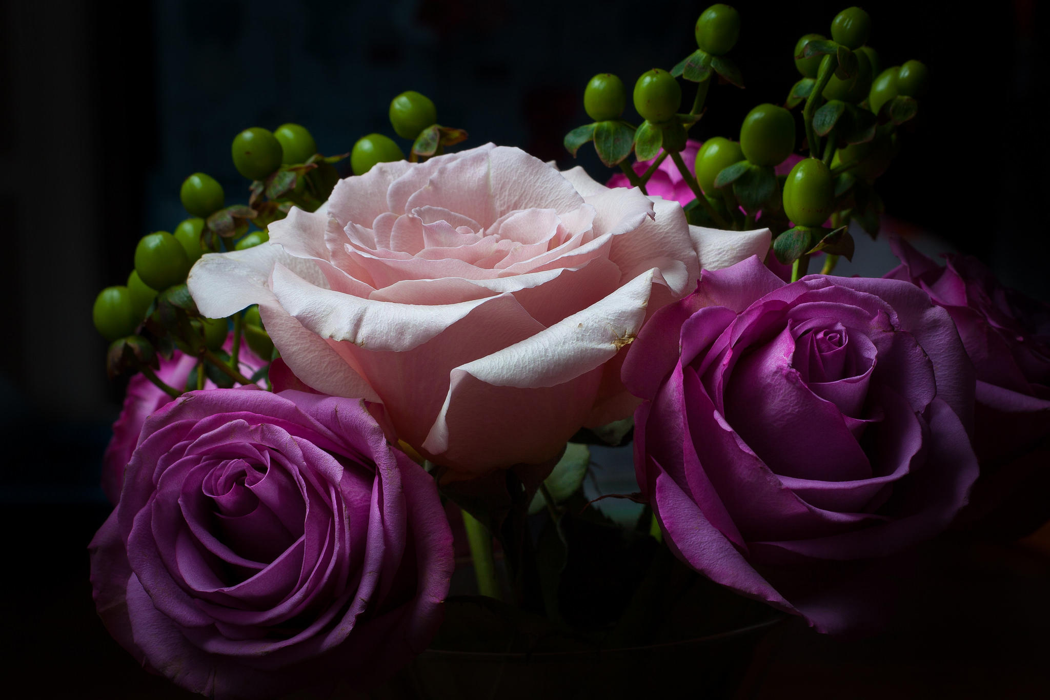 Wallpapers rose roses pink flowers on the desktop