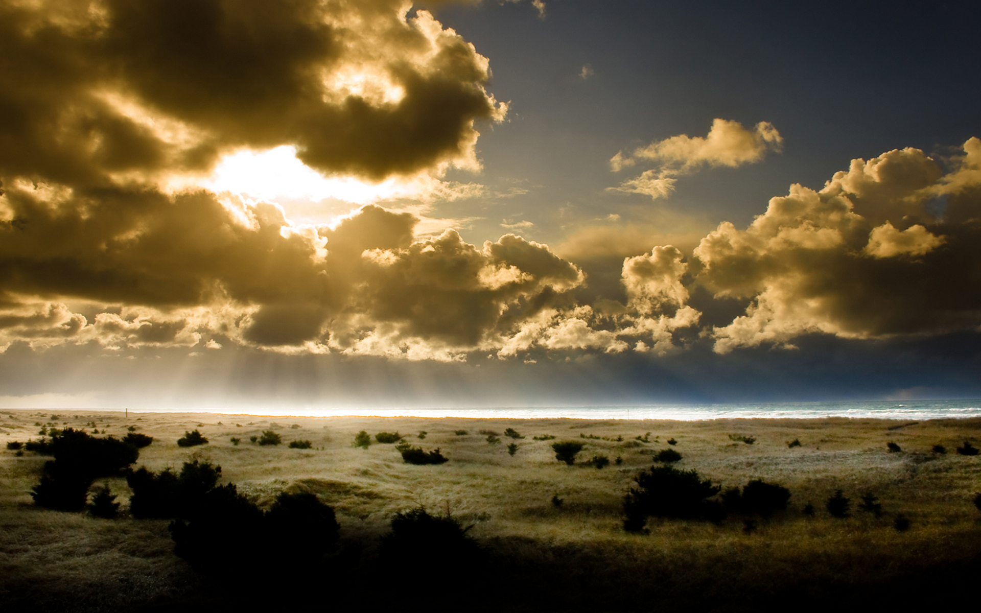 Wallpapers valley bush horizon on the desktop