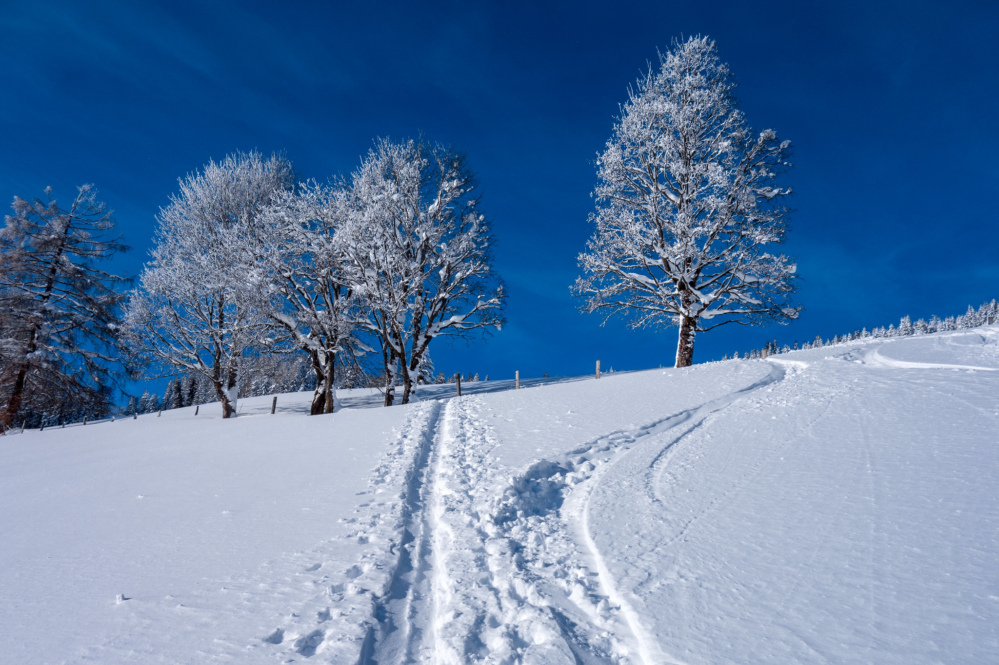 Free photo A walk in winter in Sankt Johann im Pongau