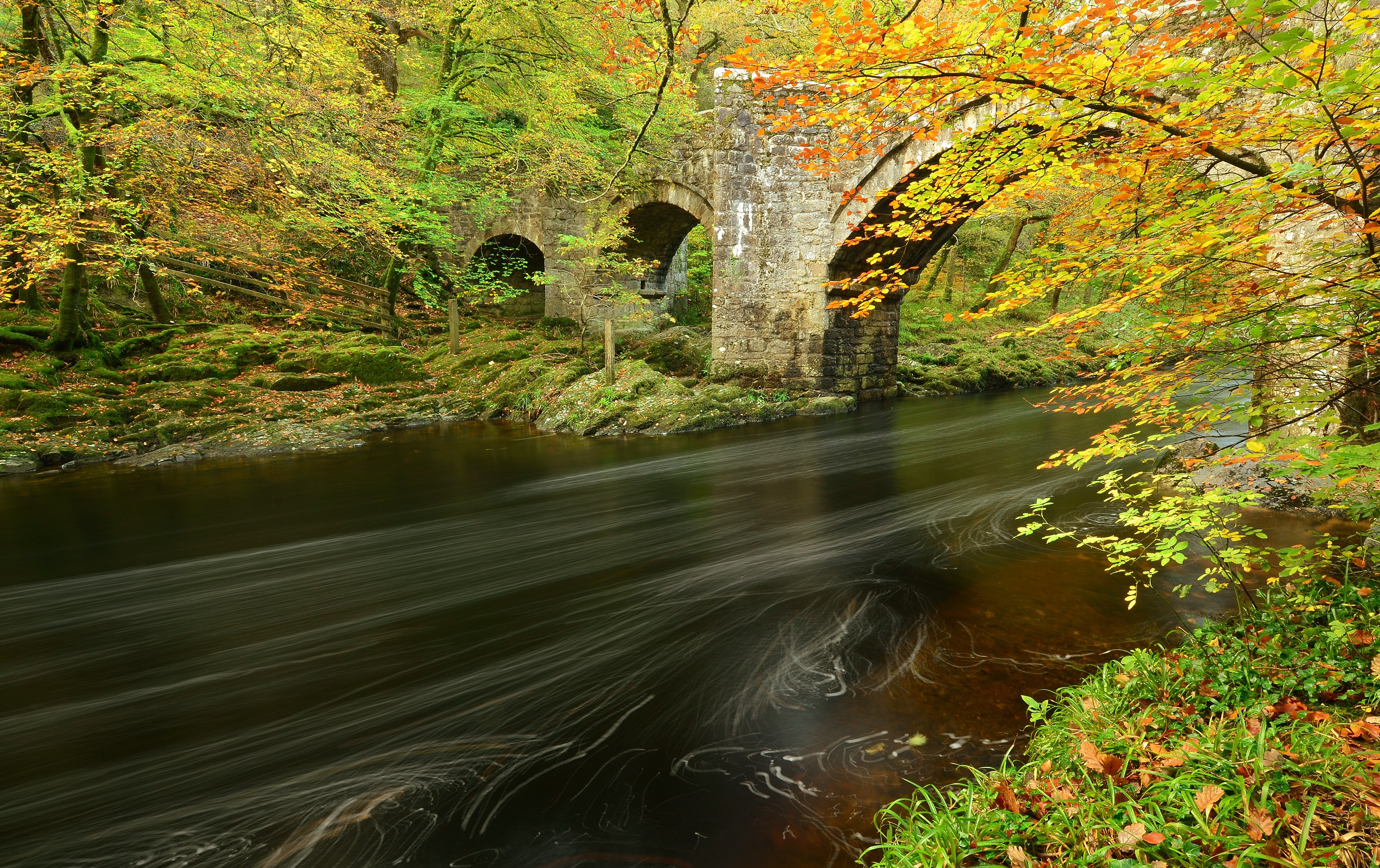 Free photo The picture autumn, bridge on the phone