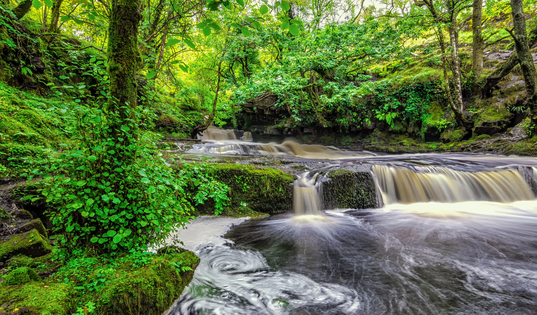 Wallpapers nature river UK on the desktop