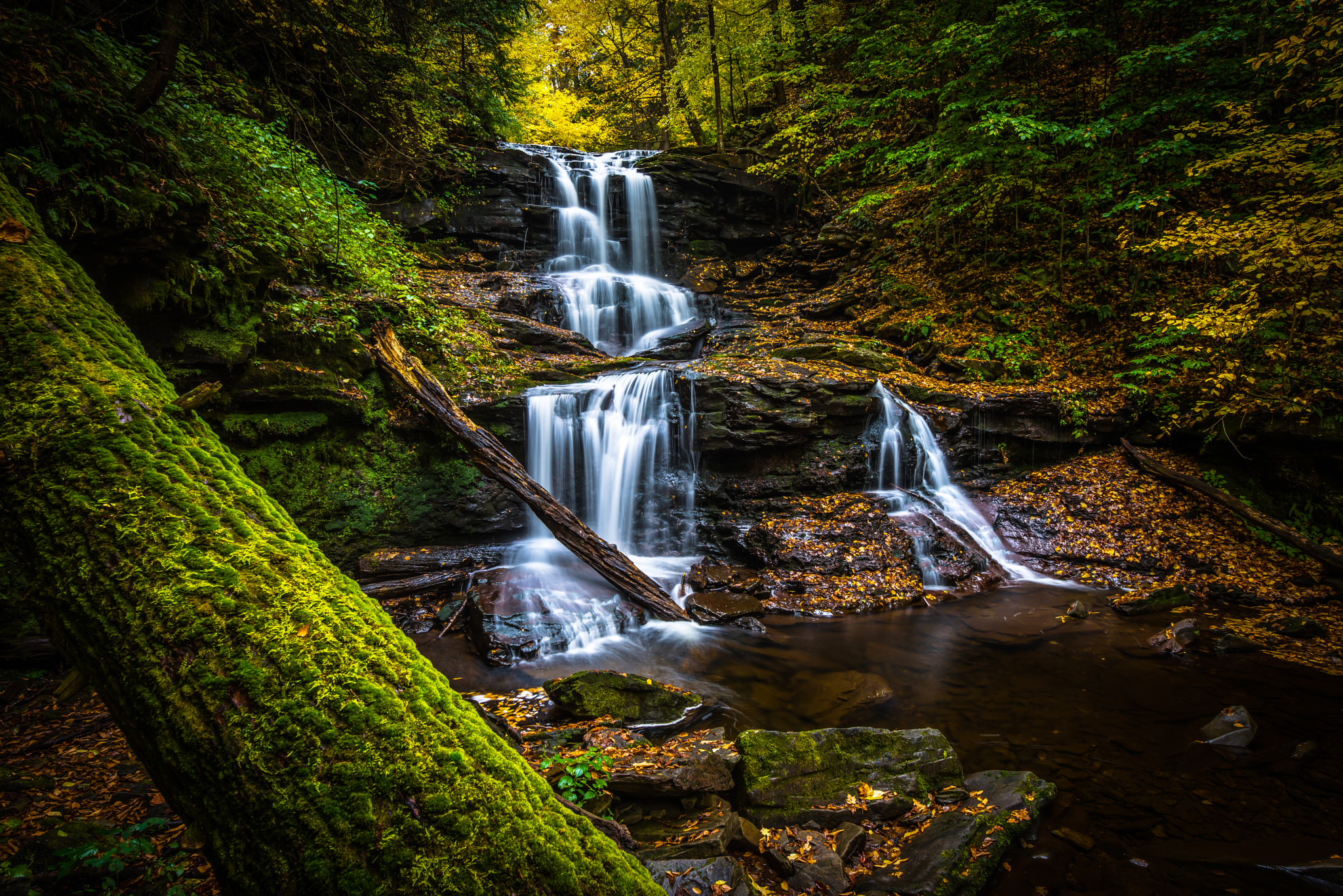 Free photo Creek in Ricketts Glen Park