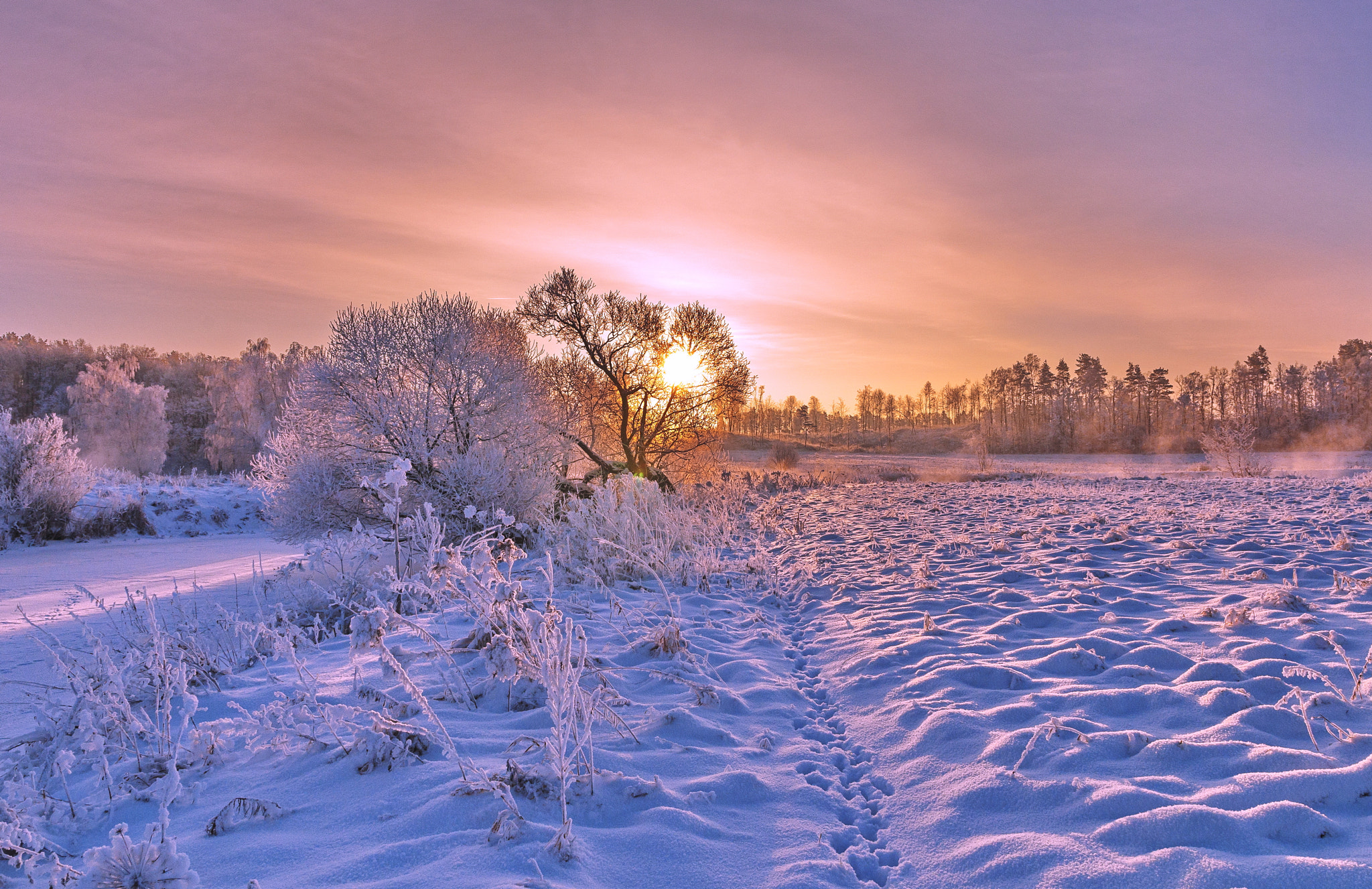 Free photo Winter fabulous landscape