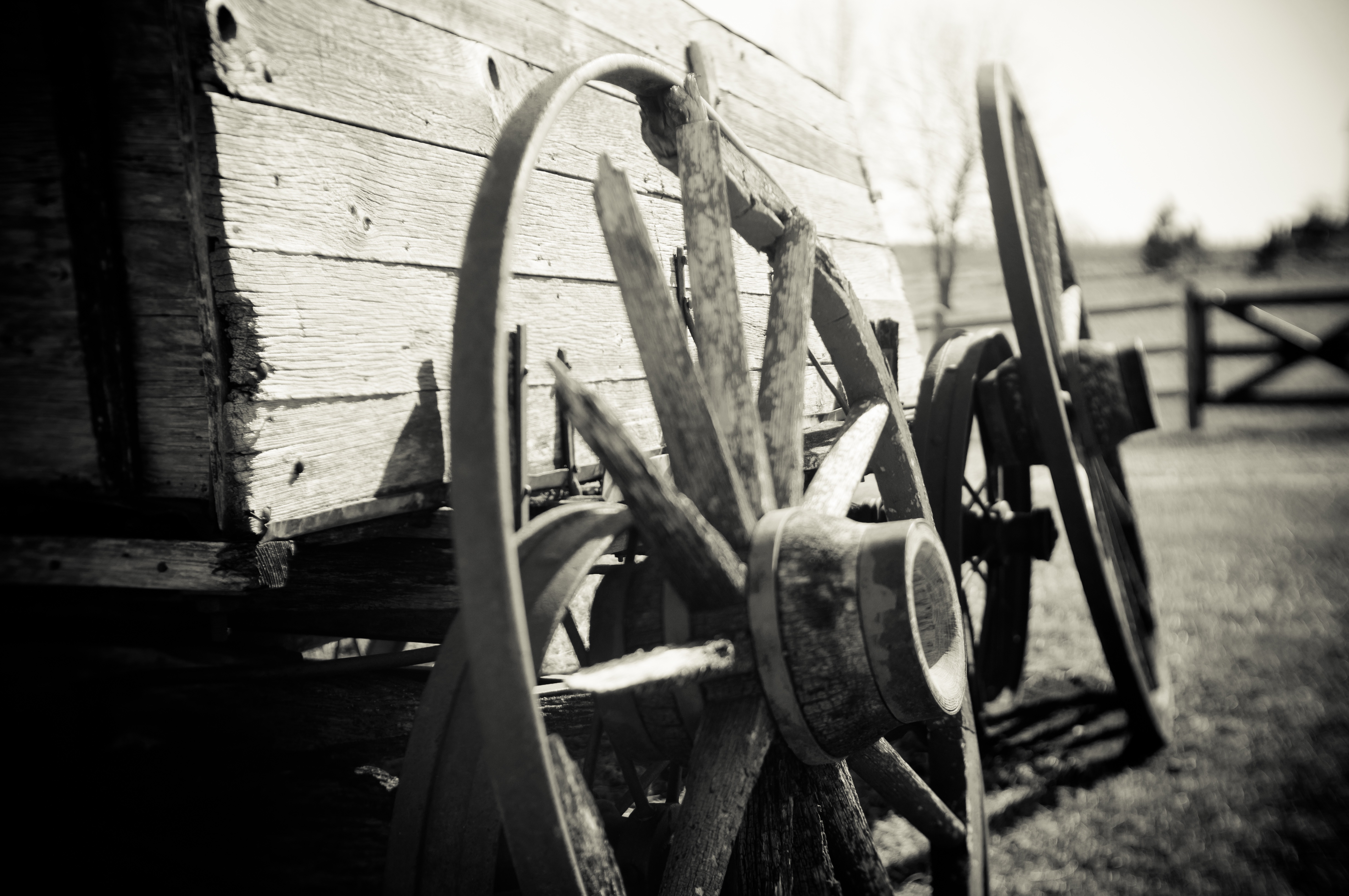 Wallpapers black and white white photography on the desktop