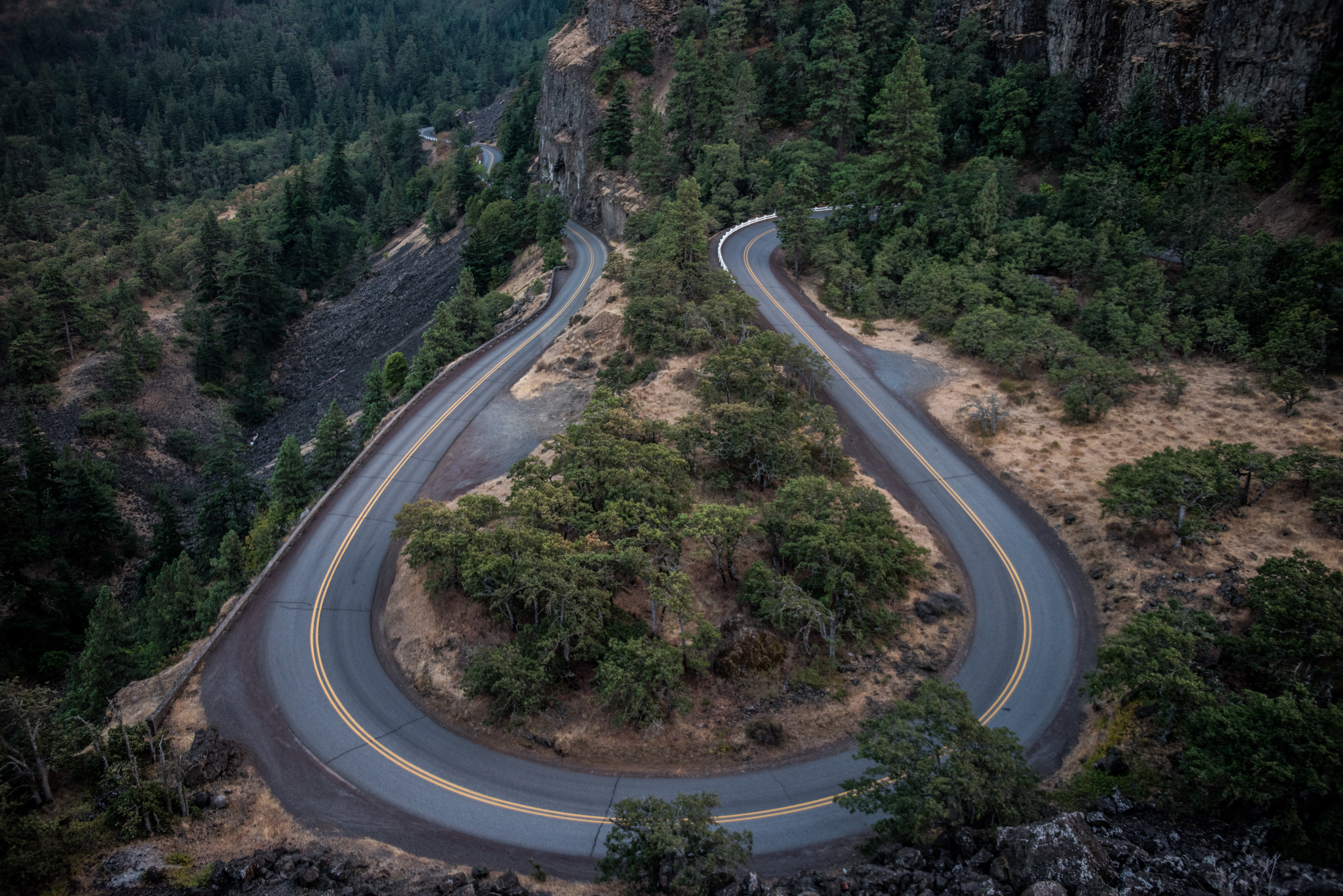 A road in the mountains of Oregon
