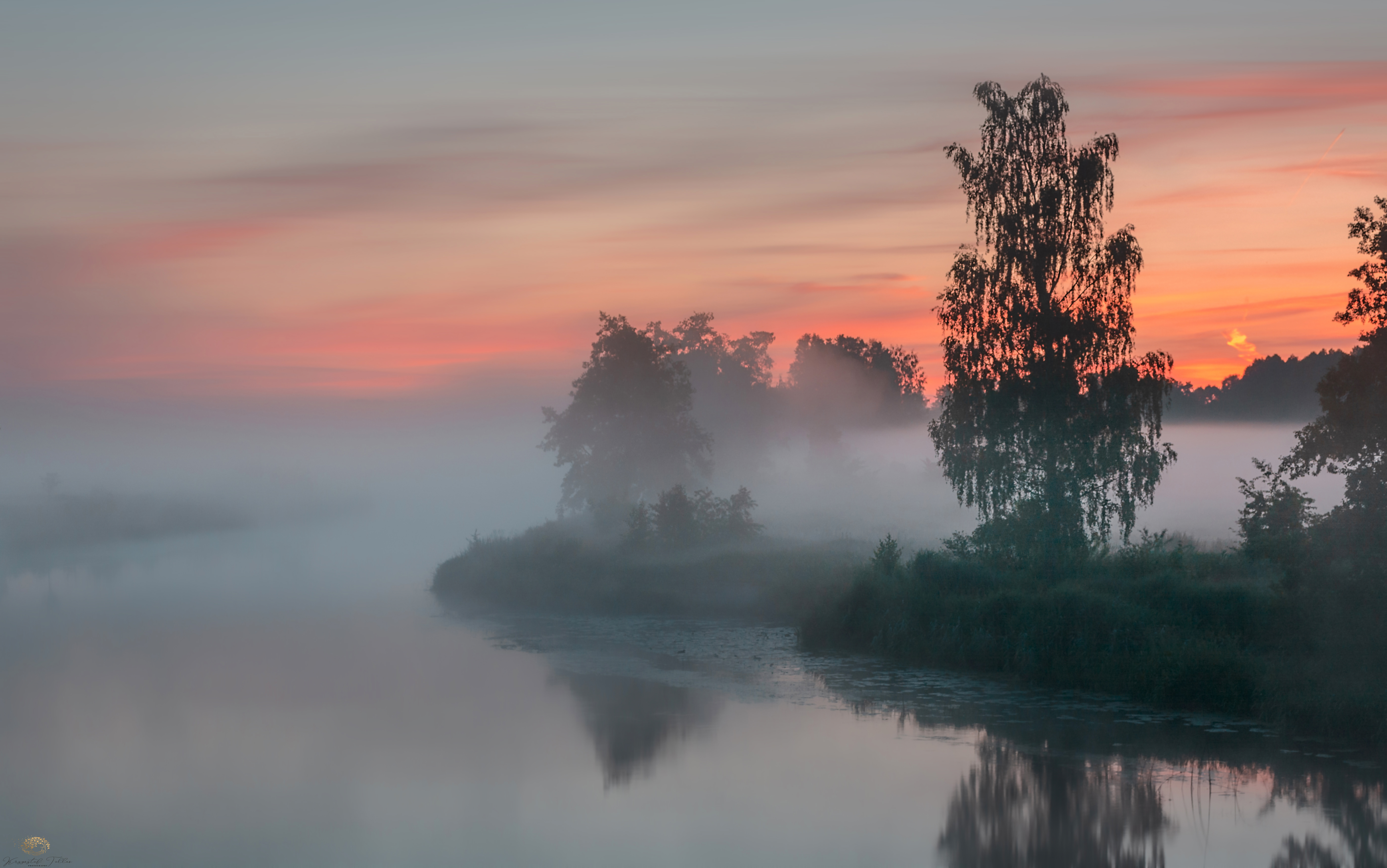 Free photo Foggy shore in the morning