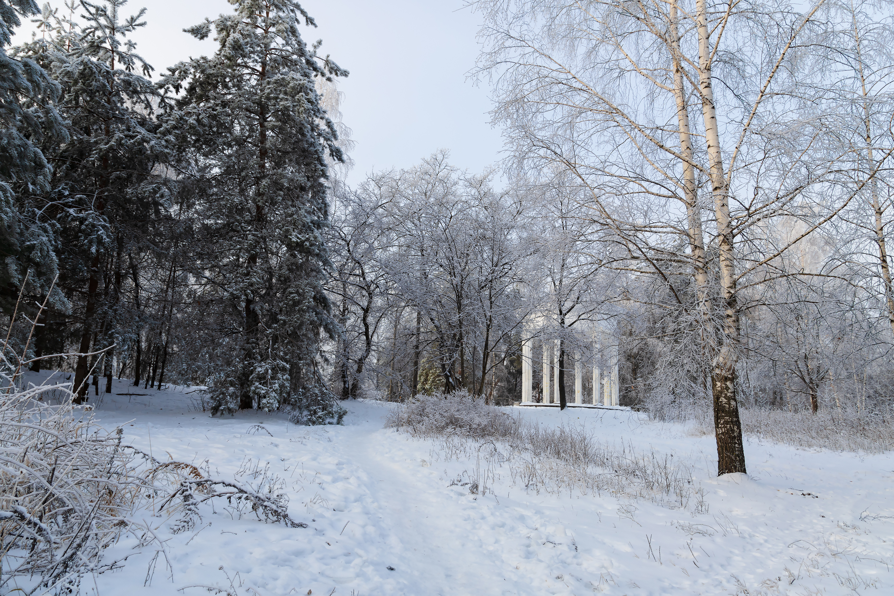 Бесплатное фото Зимний пейзаж с белой ротондой