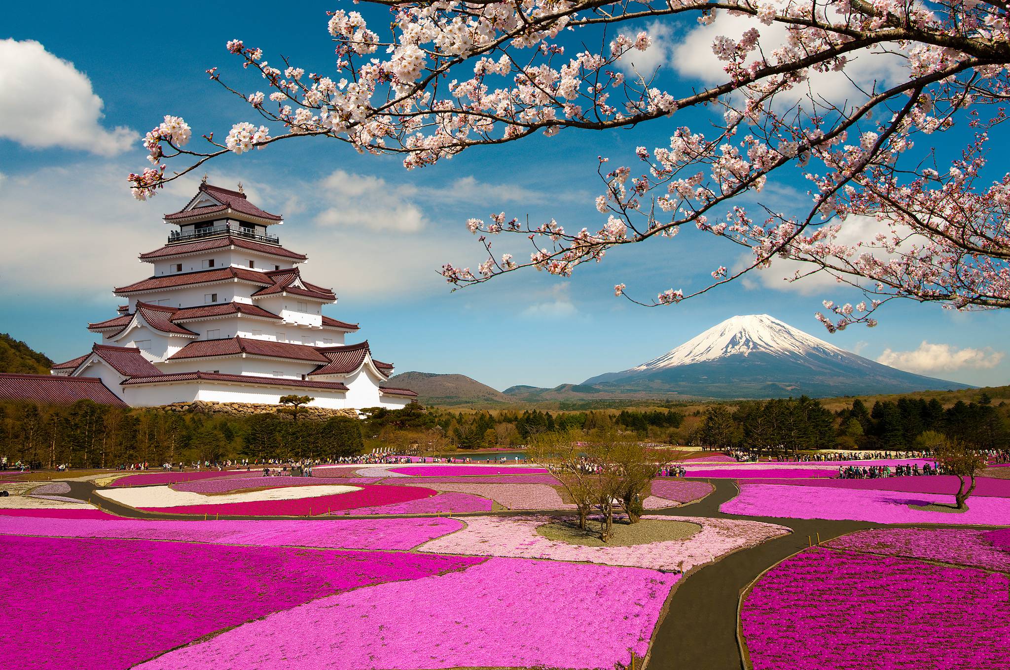 Wallpapers Japan Kumamoto field on the desktop