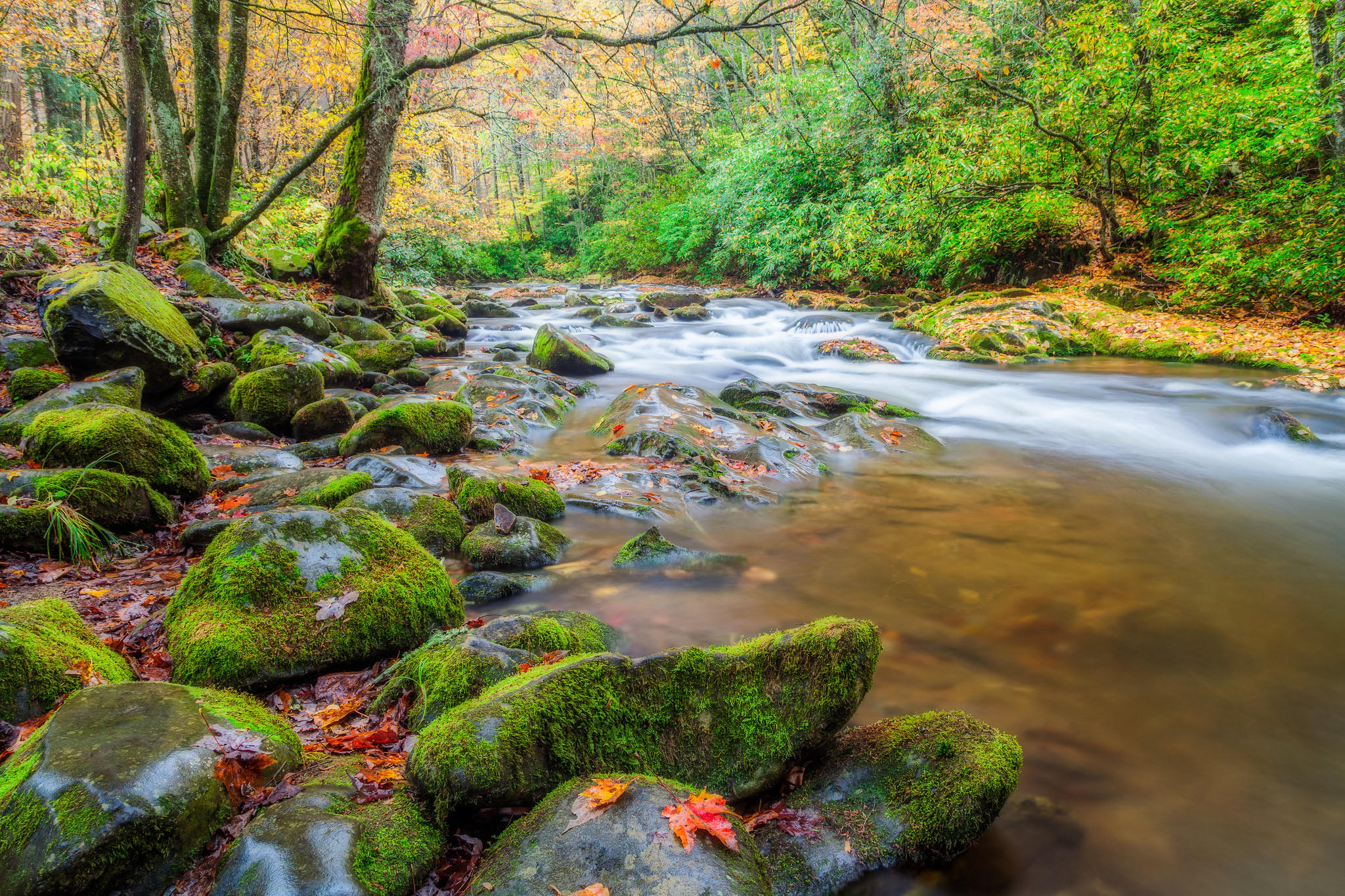 Обои Smoky Mountains National Park Грейт Смоки Маунтинс Парк штат Теннесси на рабочий стол