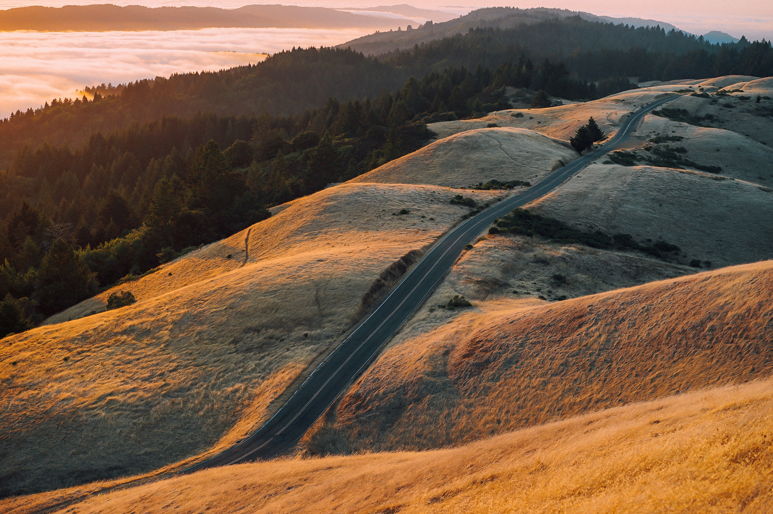 Free photo A long asphalt road going through the hills next to the forest at sunset of the day