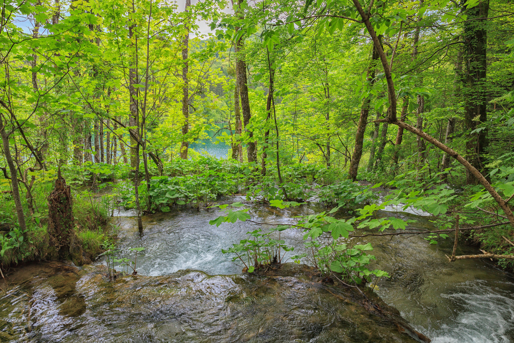 Free photo Water flowing in the river