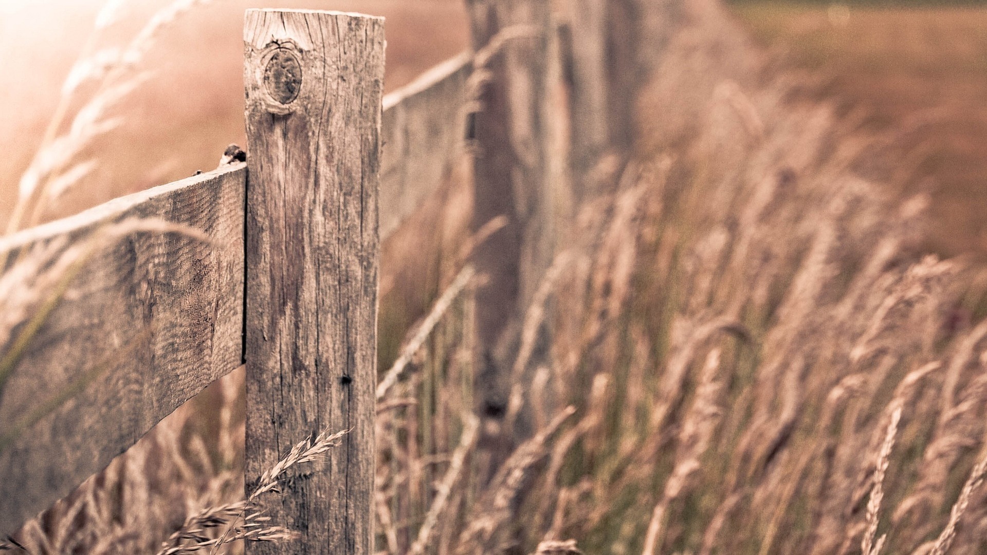 Free photo Rural fence