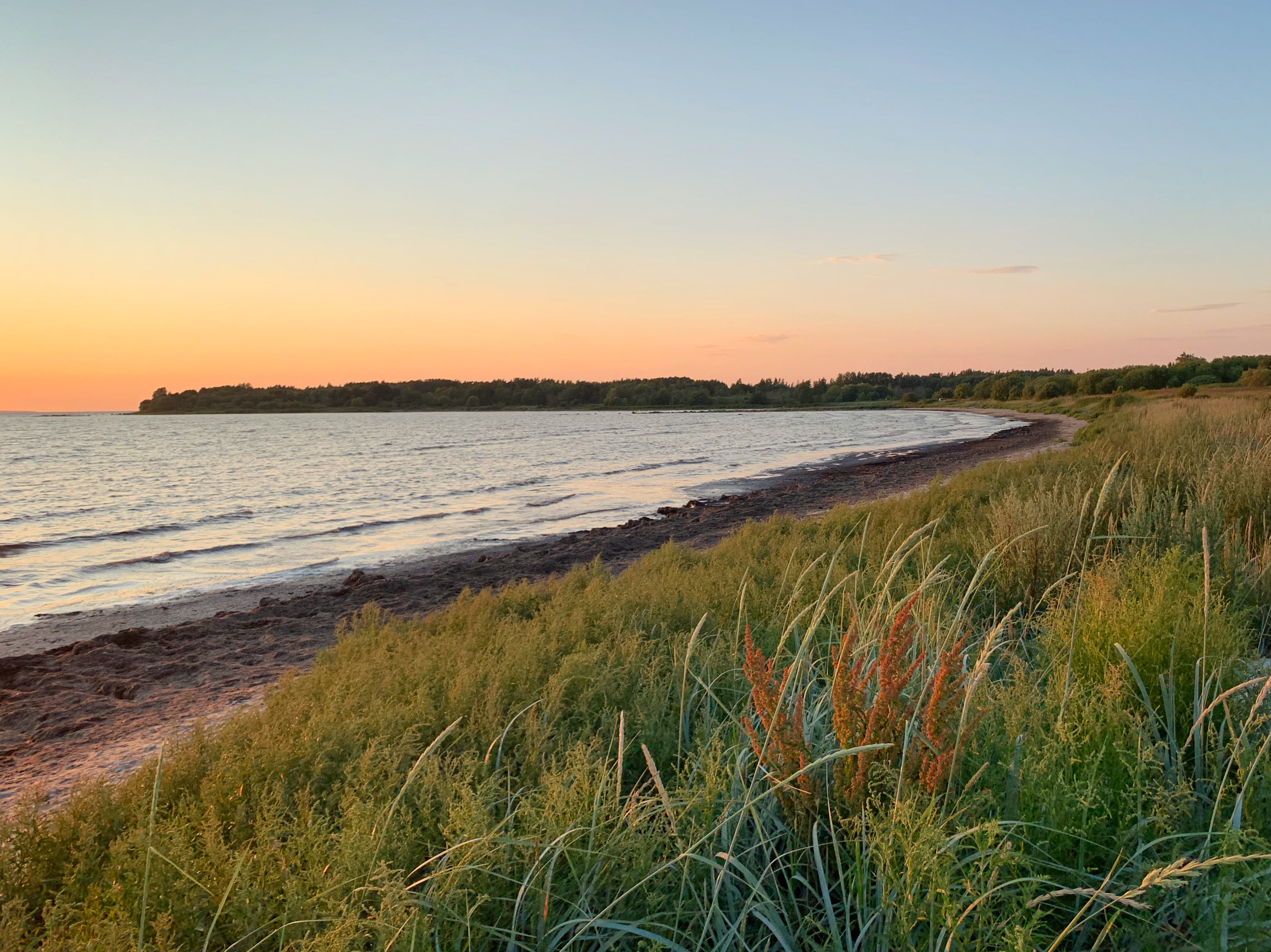 桌面上的壁纸景观 海滩 草地