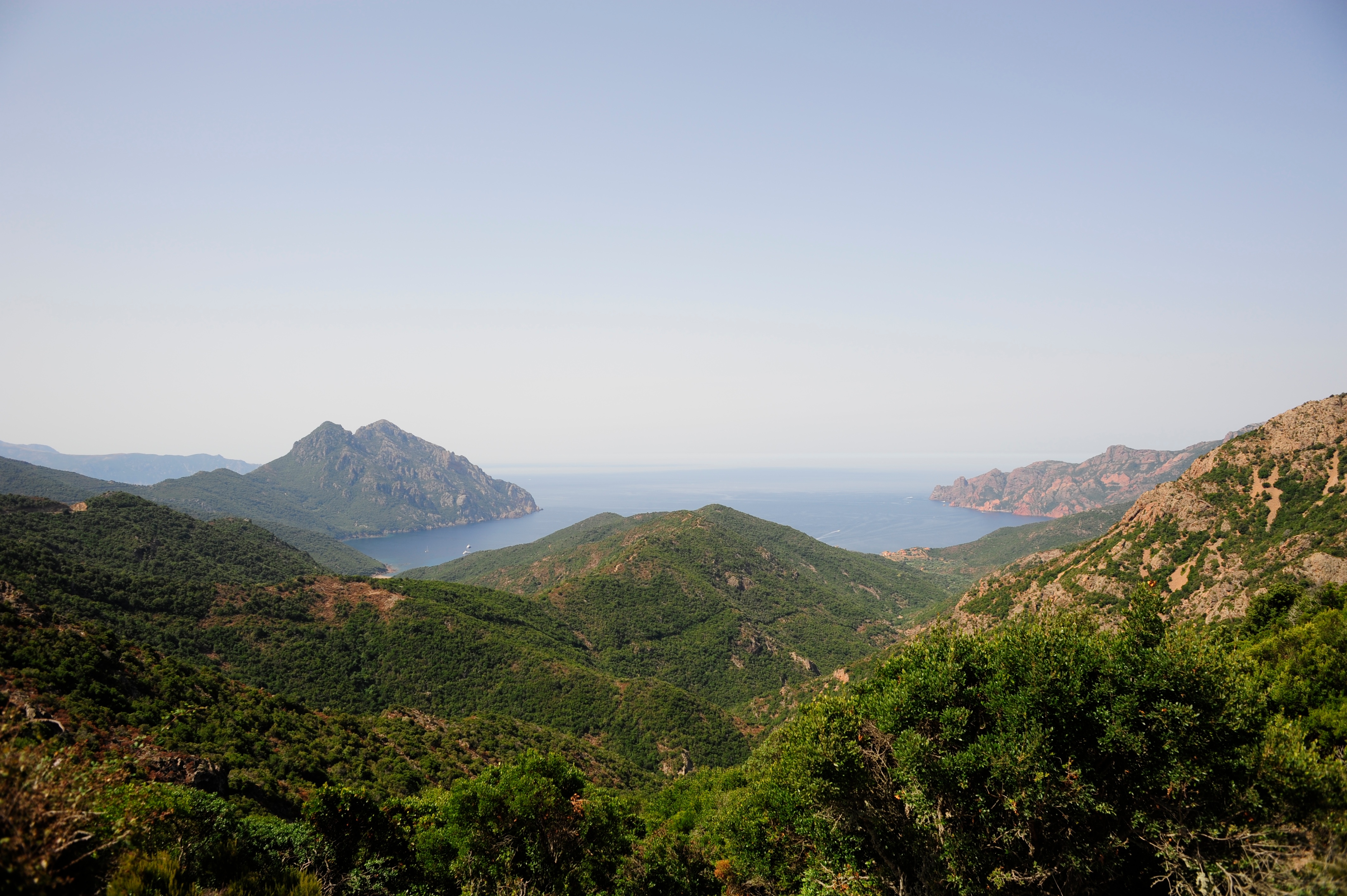 Mountains on the coast of the ocean with forests