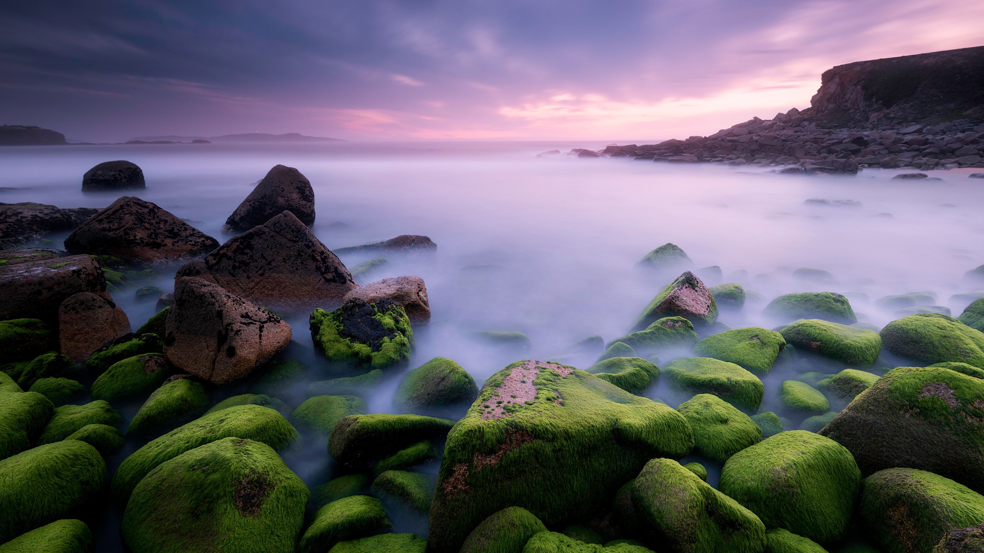 免费照片海岸上长满苔藓的岩石