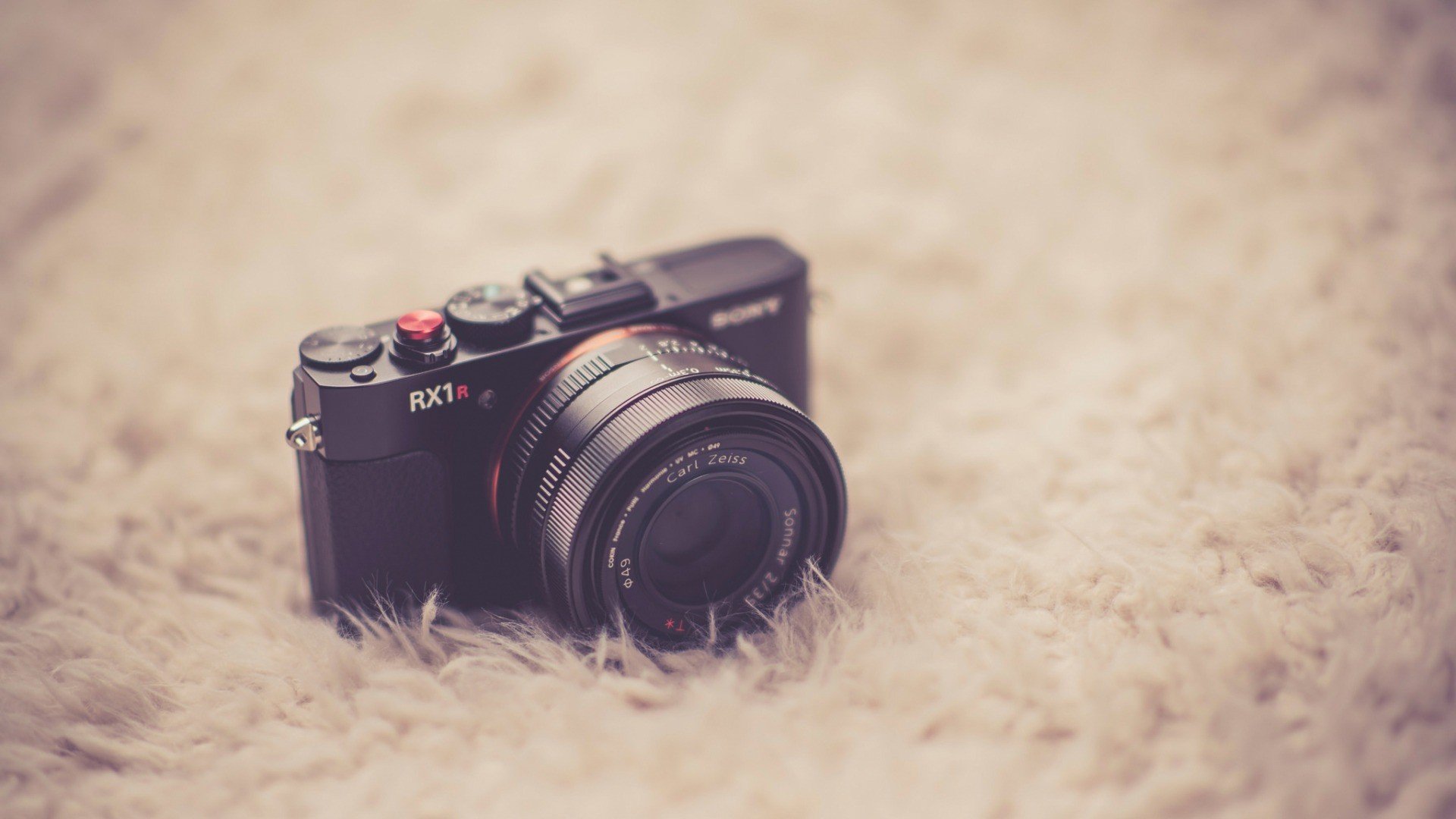 桌面上的壁纸照相机 壁纸 花朵