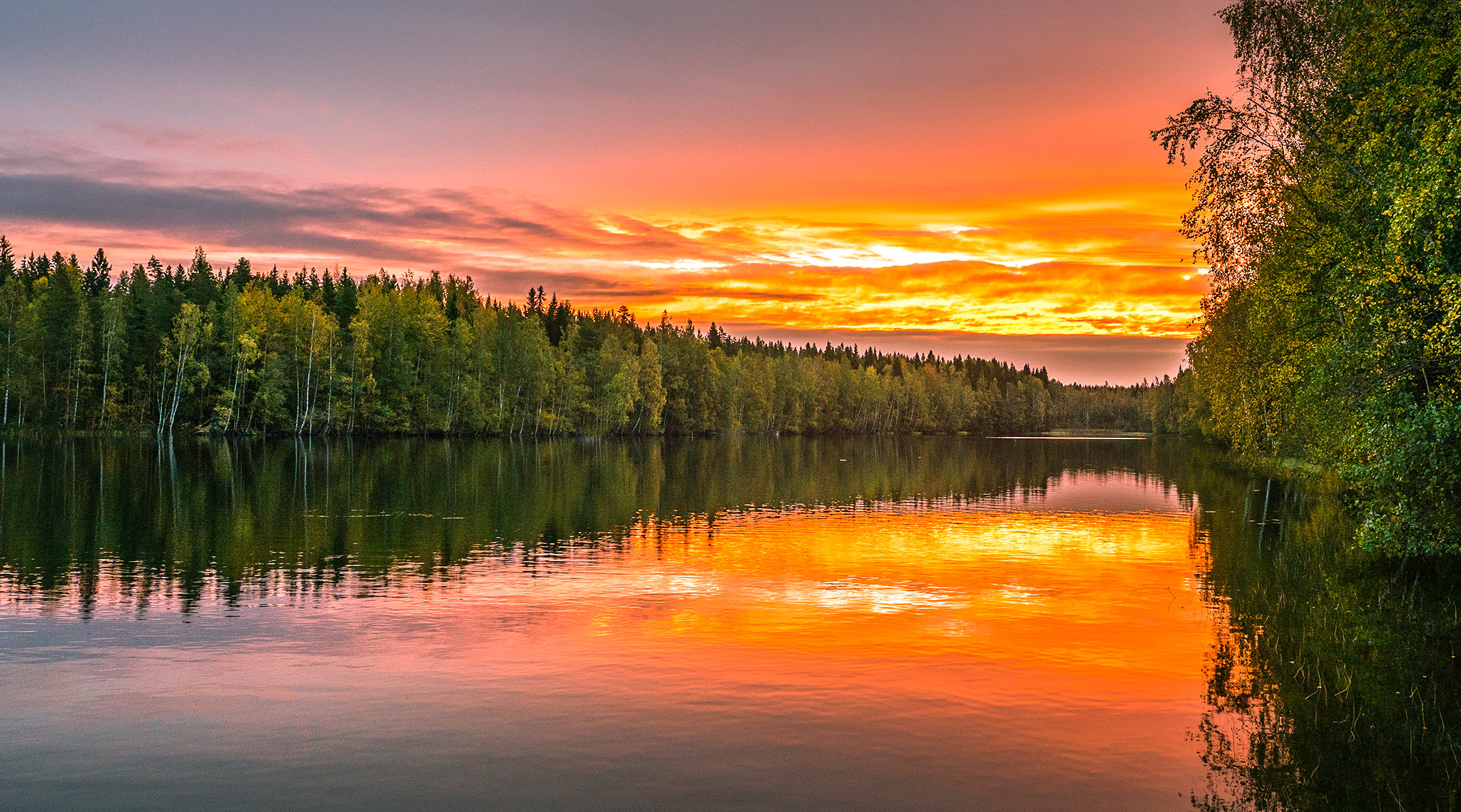 琥珀色的日落在芬兰