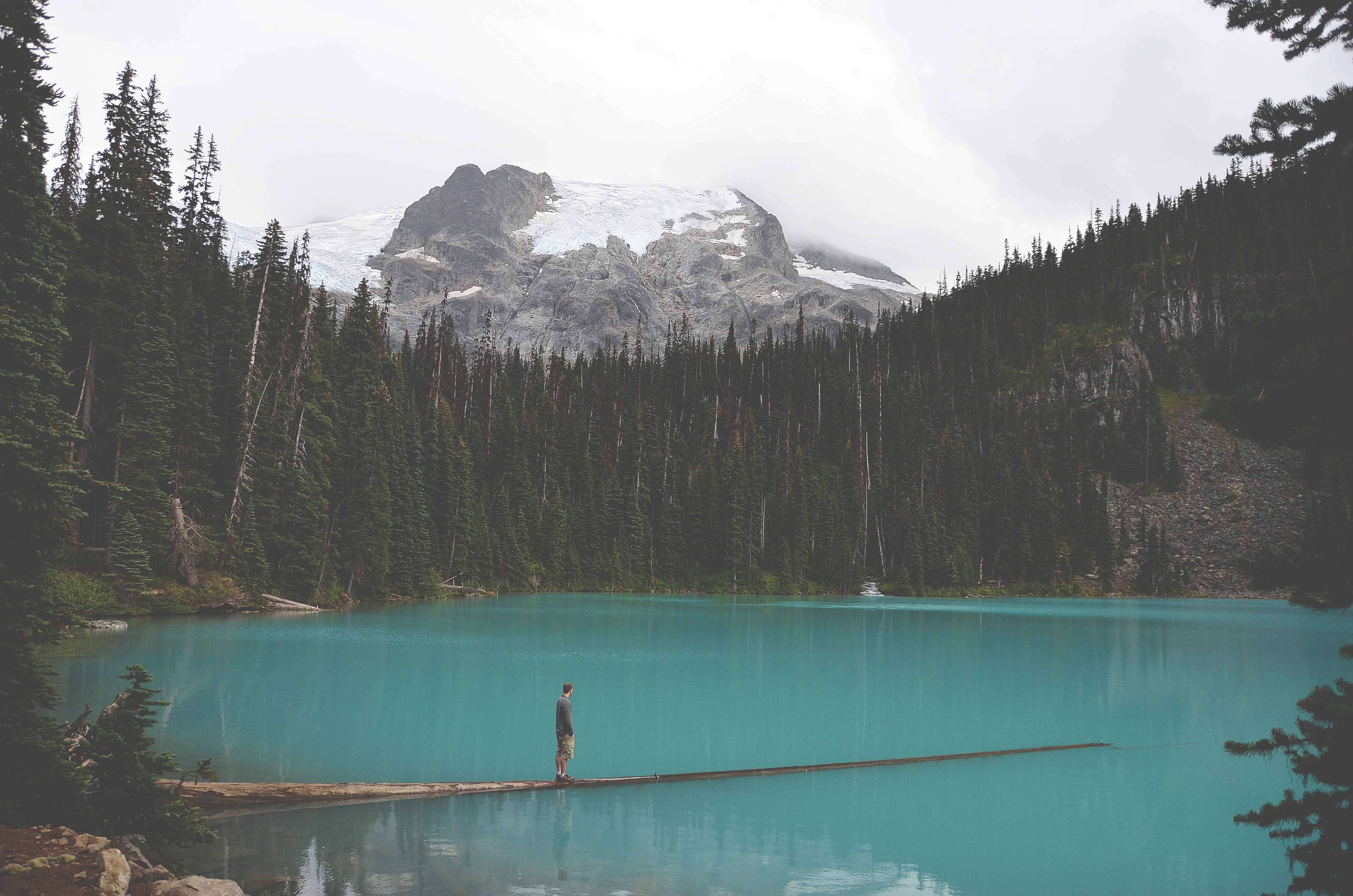 Free photo A lake with blue water among the trees