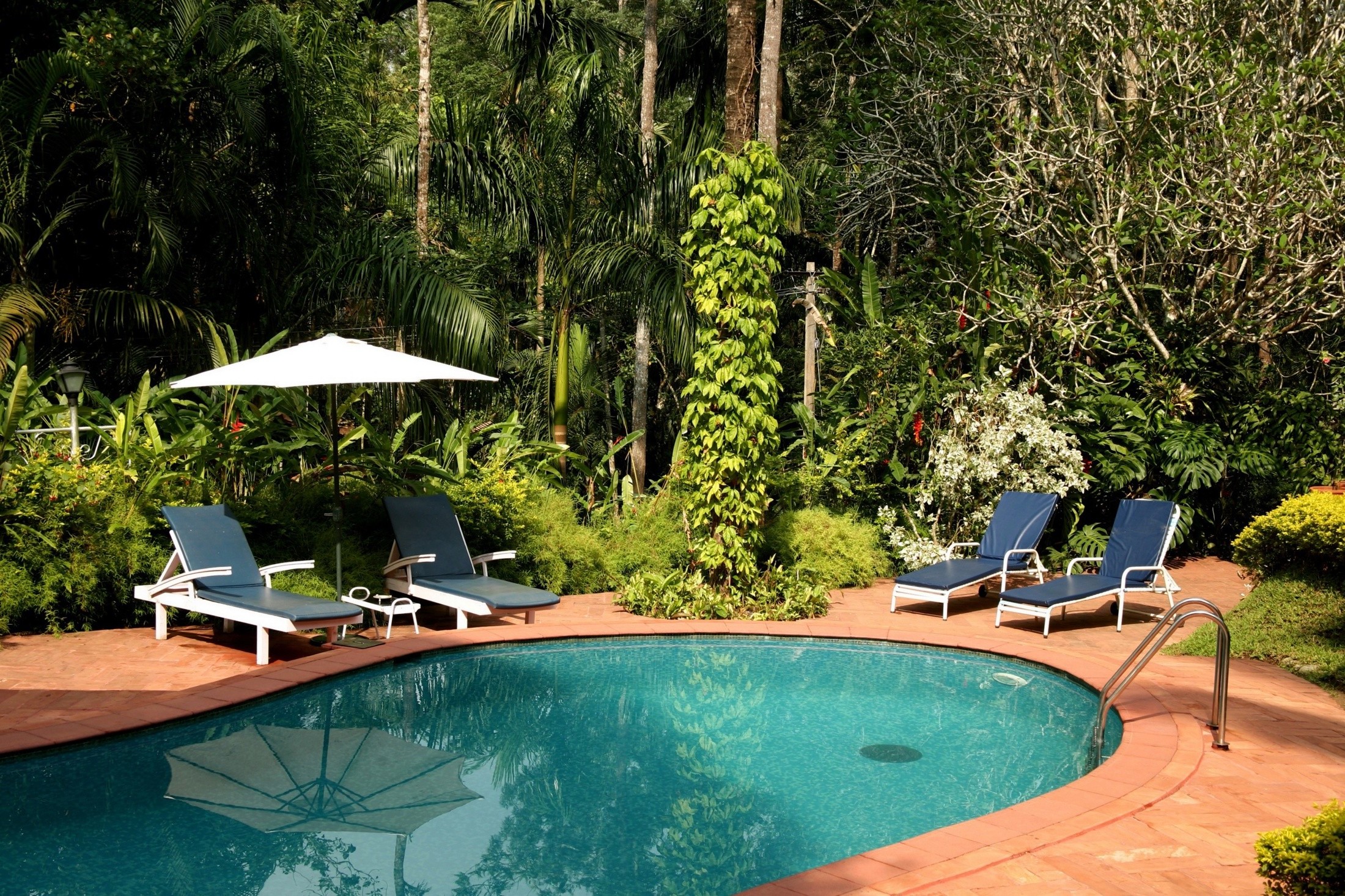 Swimming pool in the Garden of Eden