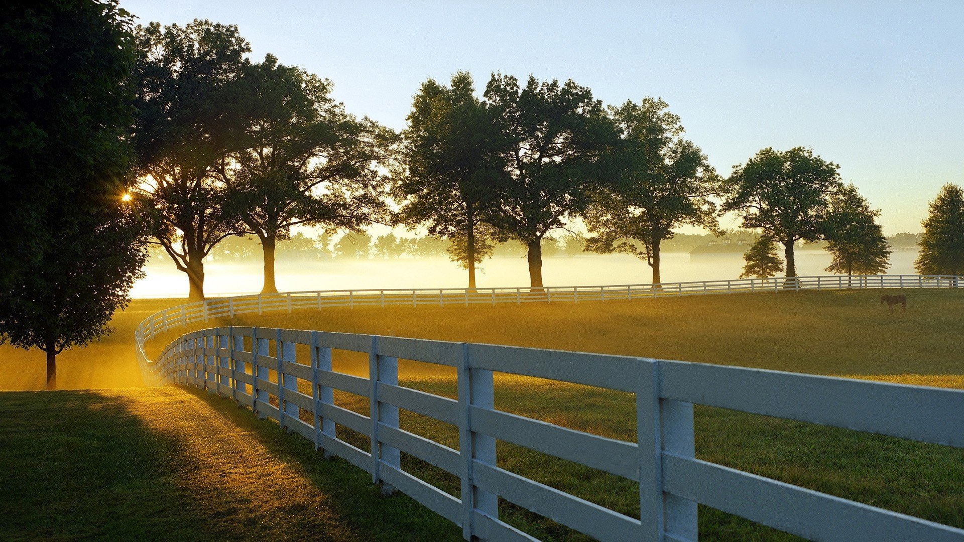 Free photo Sunrise in a pasture with horses