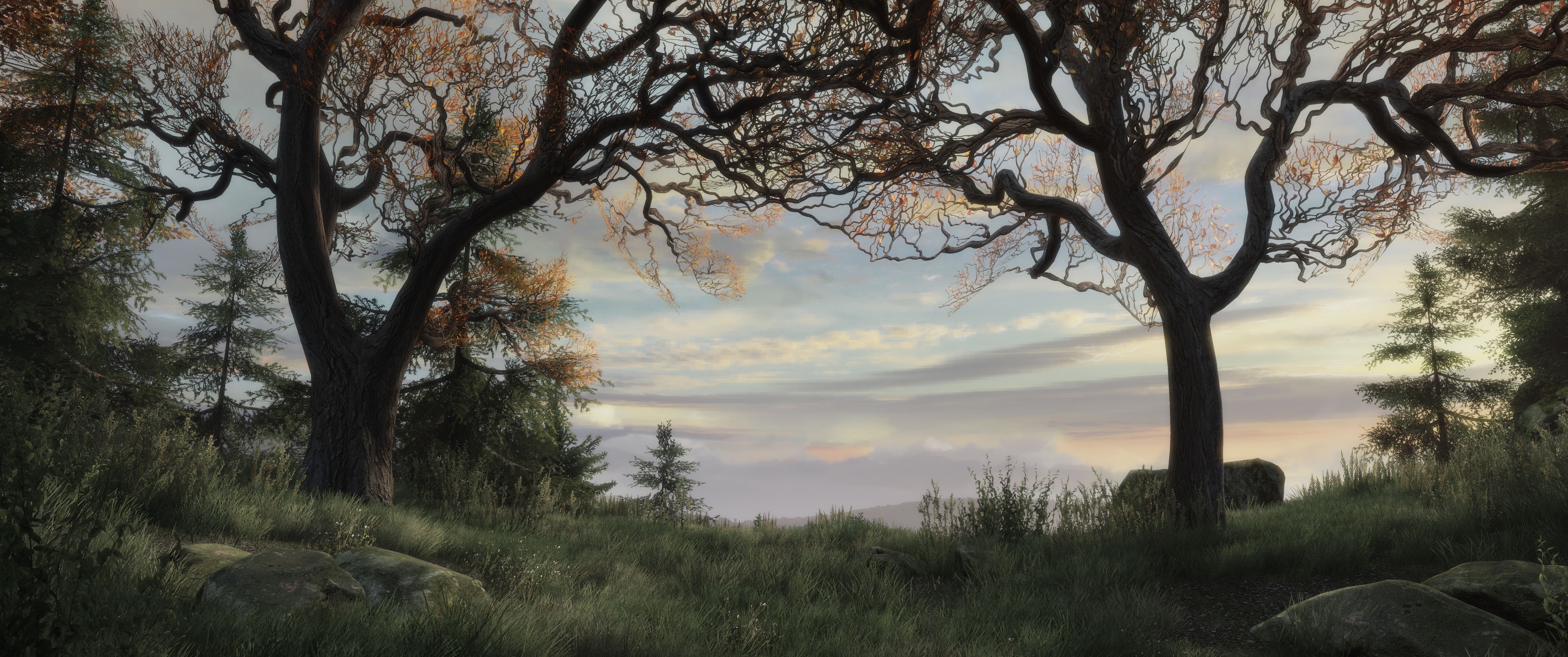 Wallpapers grass landscape sky on the desktop