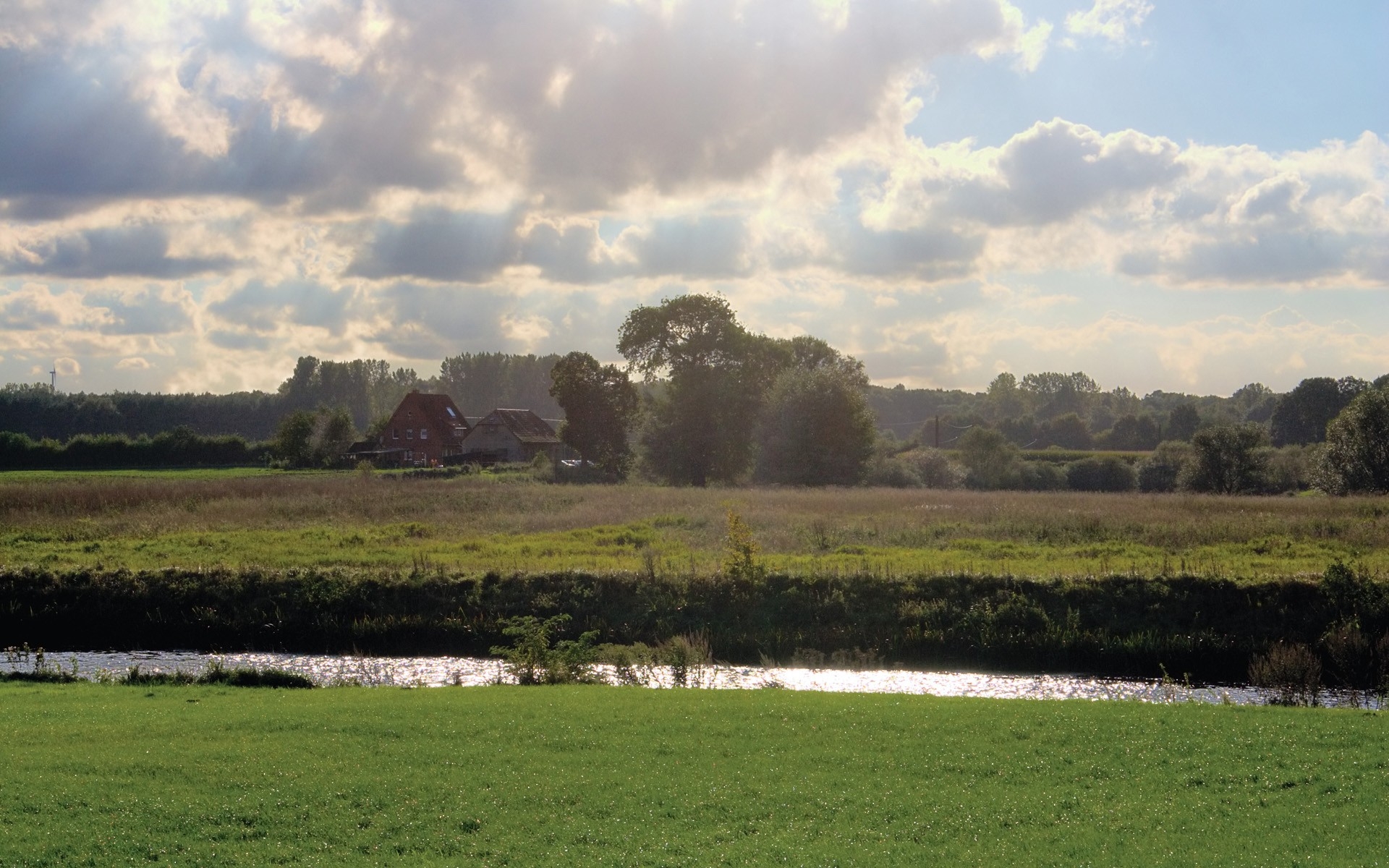 Бесплатное фото Солнечная красивая природа