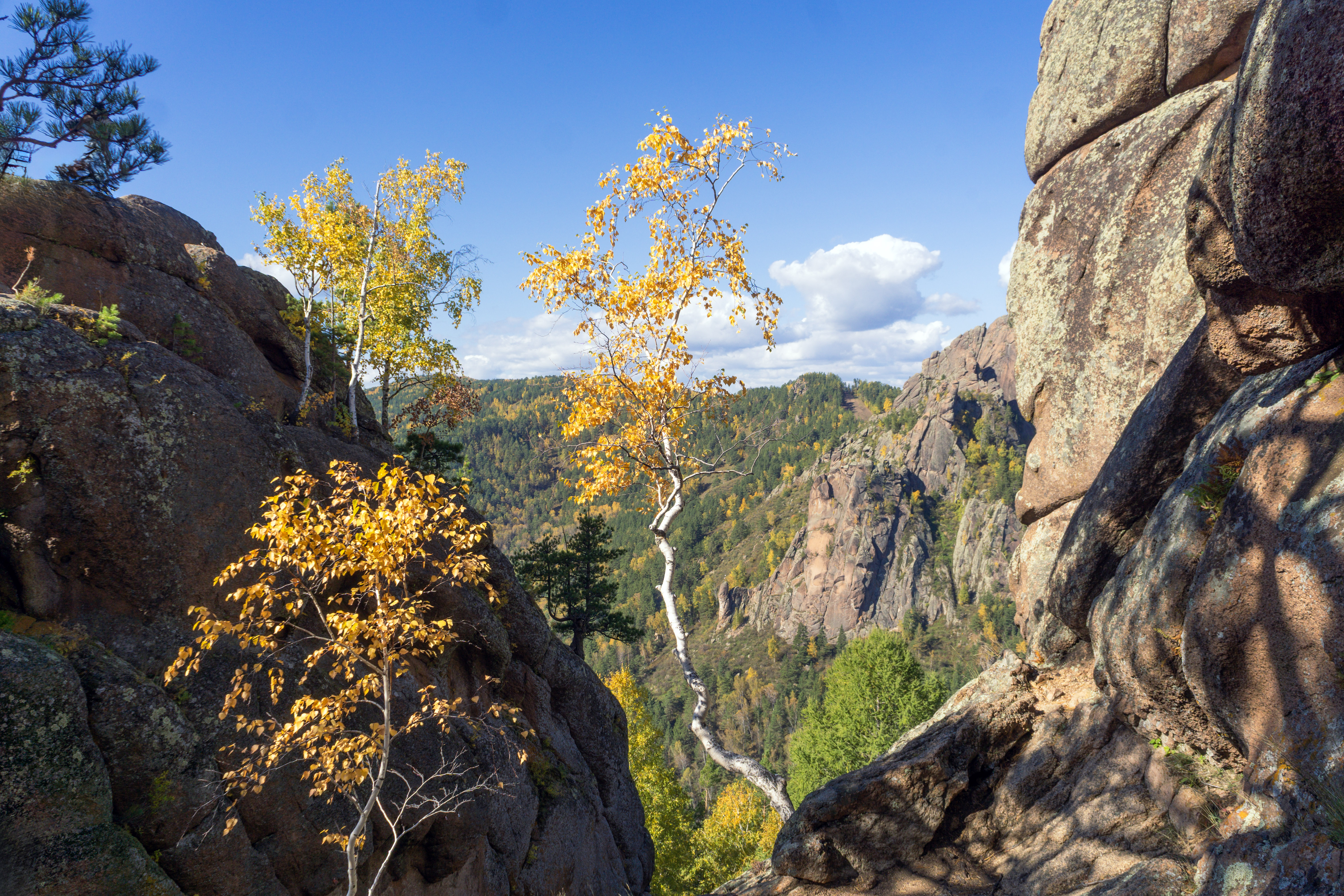 Бесплатное фото Вид с горы Ермак на столбах