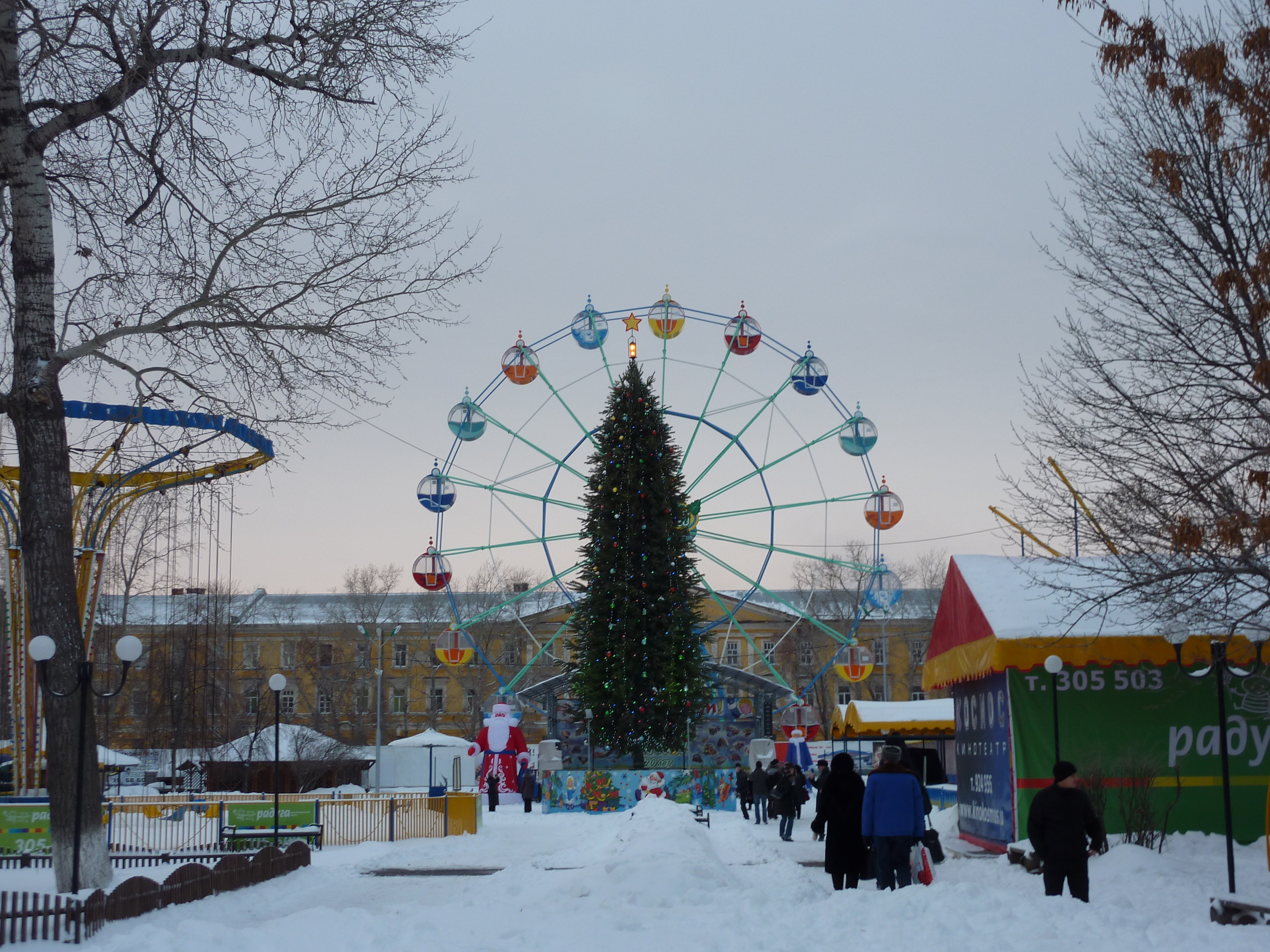 Бесплатное фото Парк зимой